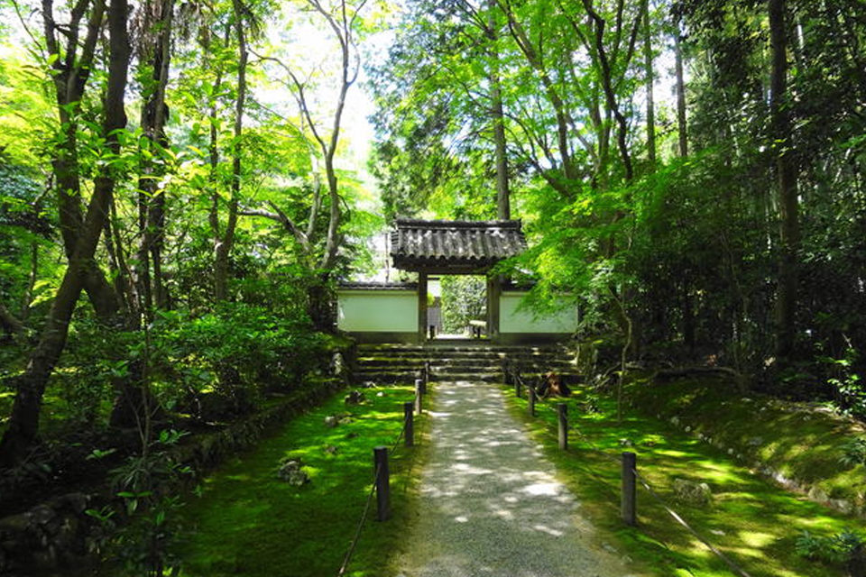 竹の寺