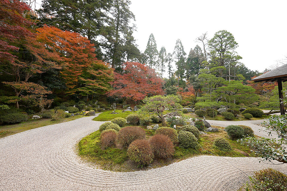 曼殊院 紅葉 京都