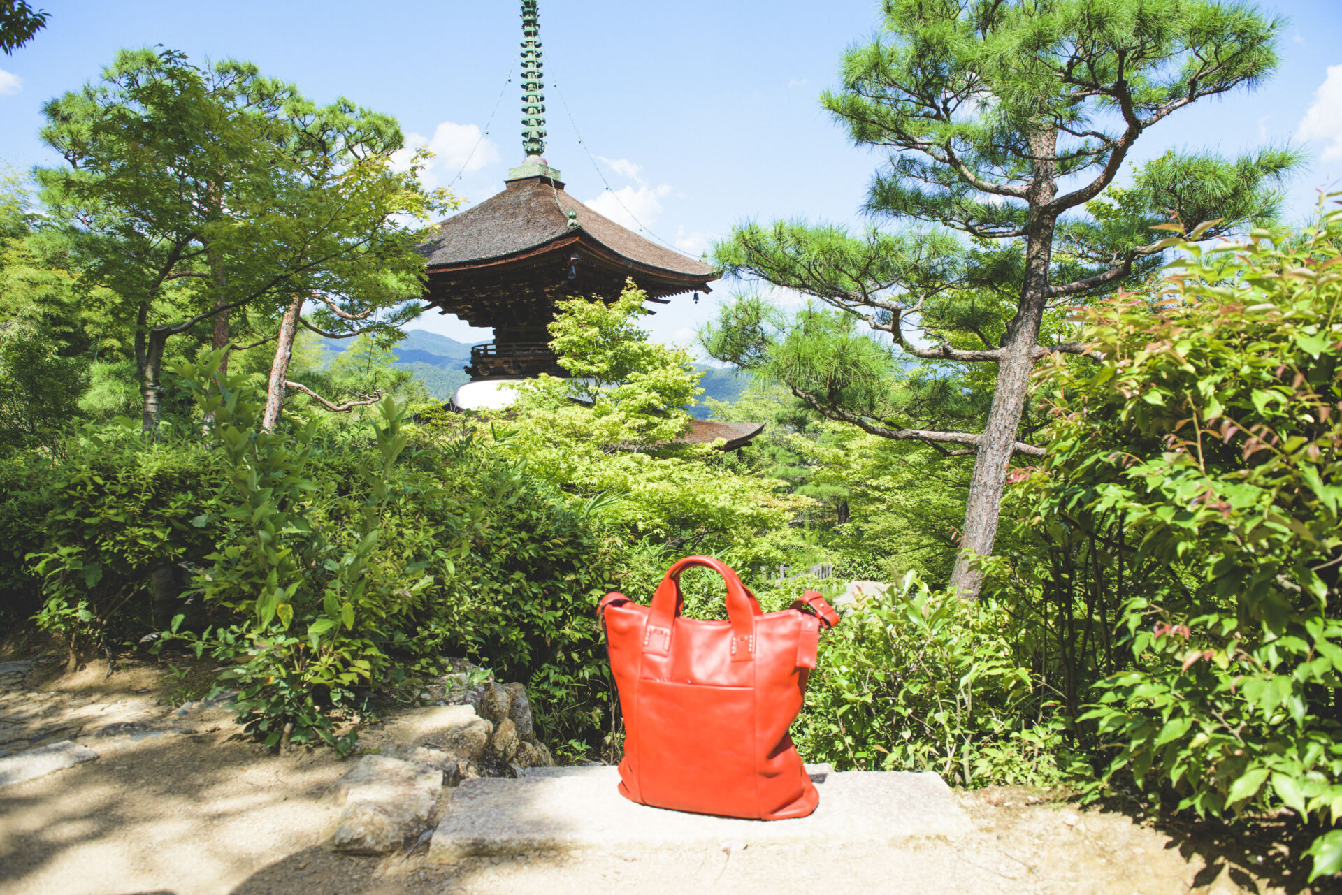 常寂光寺 青紅葉 京都