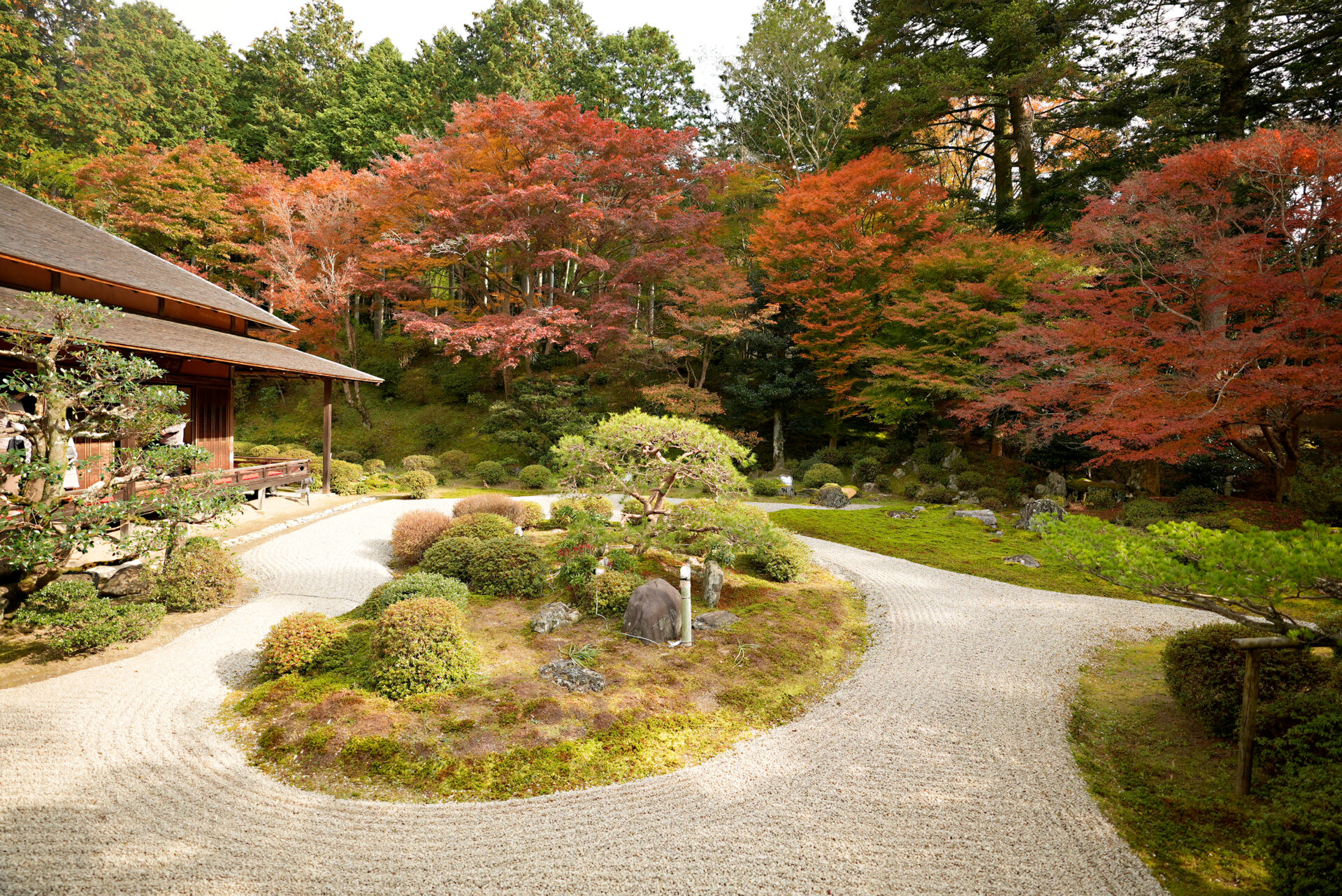 曼殊院 紅葉