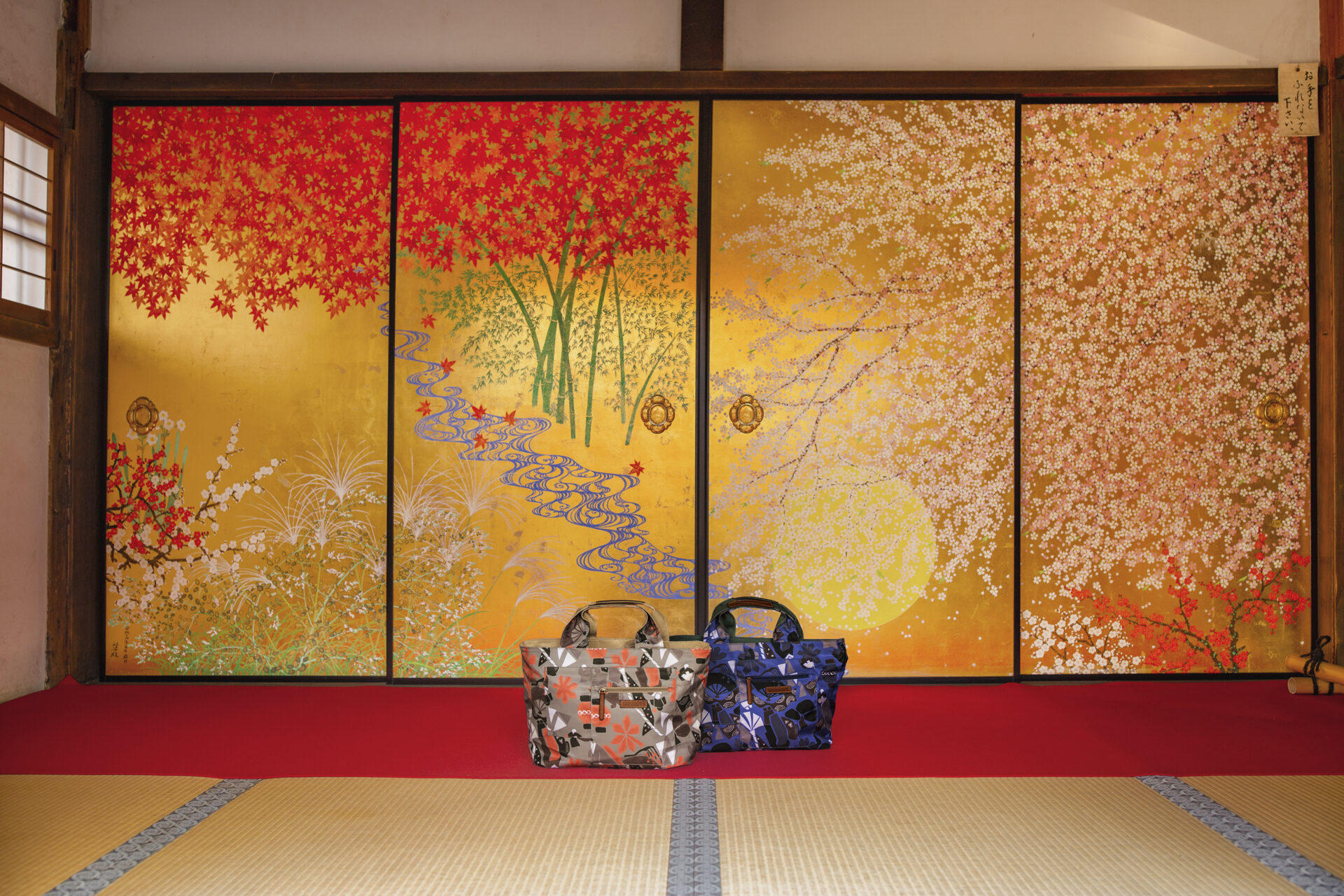 京都 圓光寺
