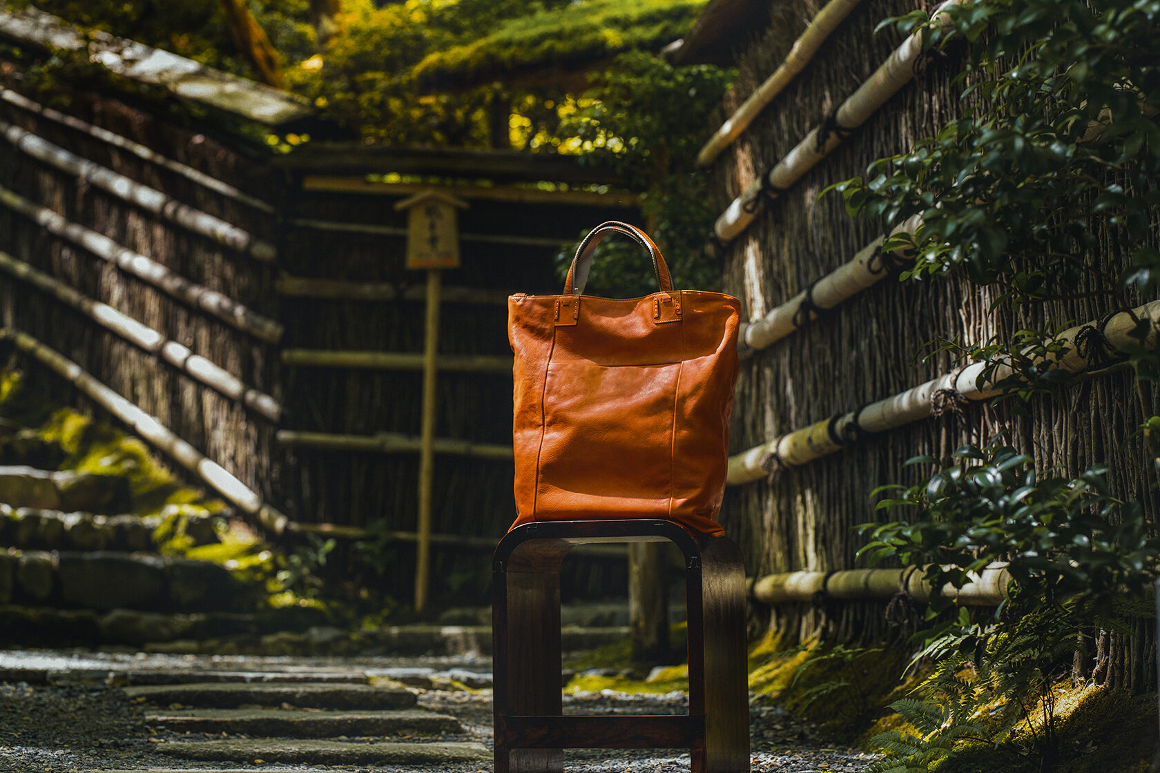 祇王寺 紅葉