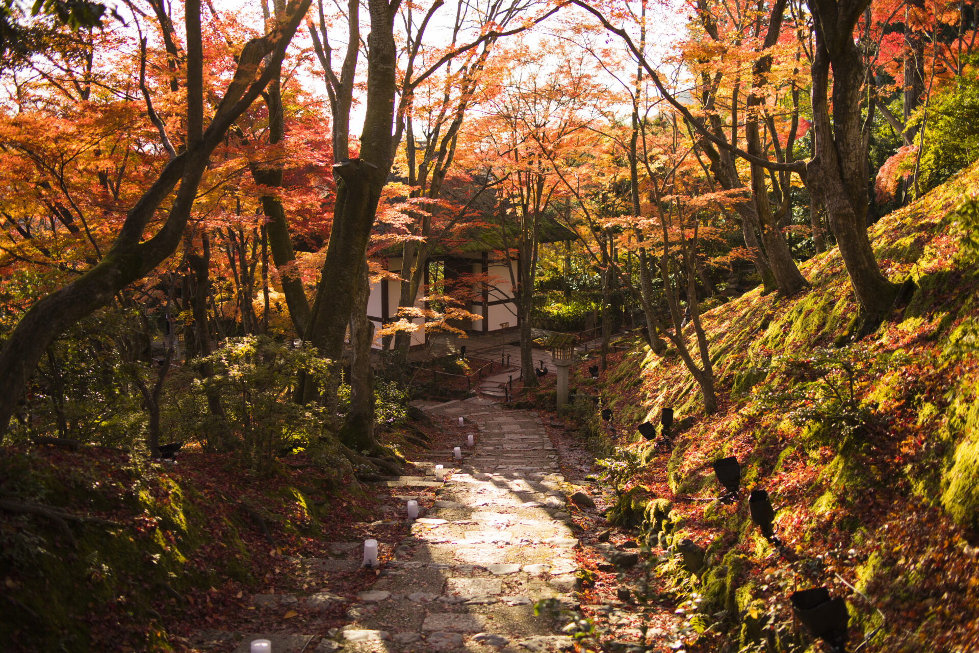 常寂光寺 紅葉 京都