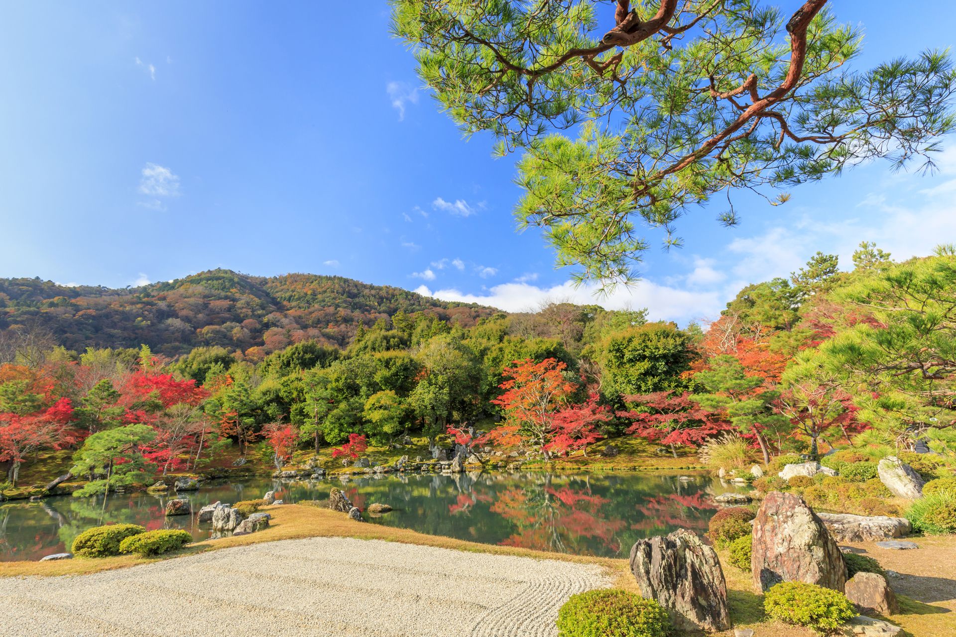 天龍寺 紅葉
