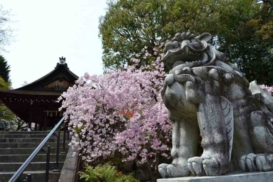 京都_建勲神社