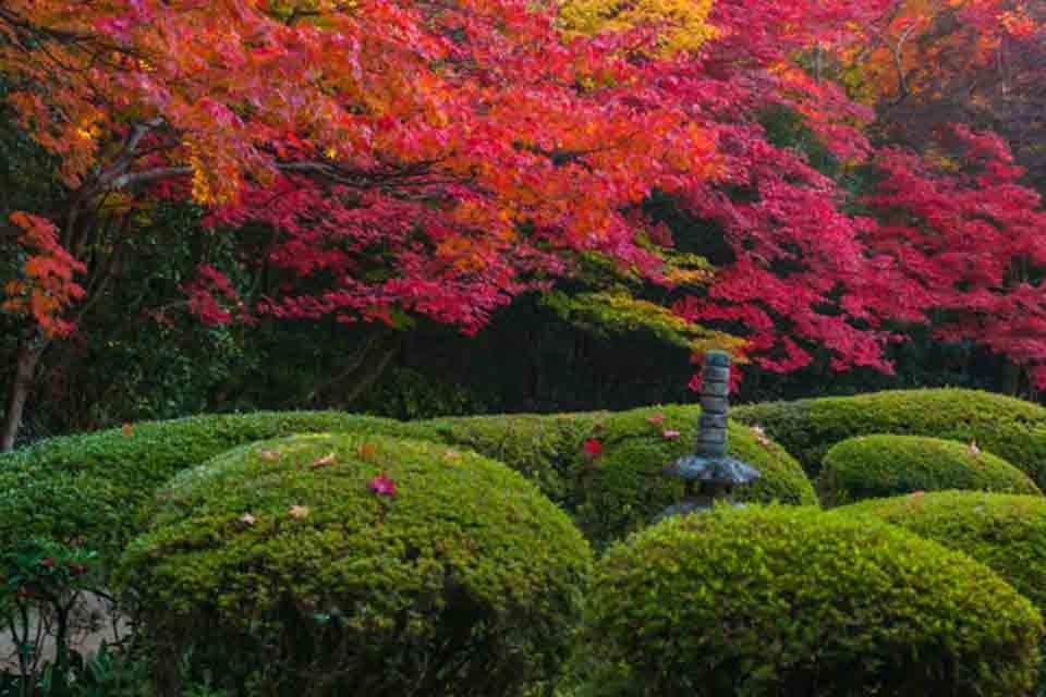 京都_詩仙堂_紅葉