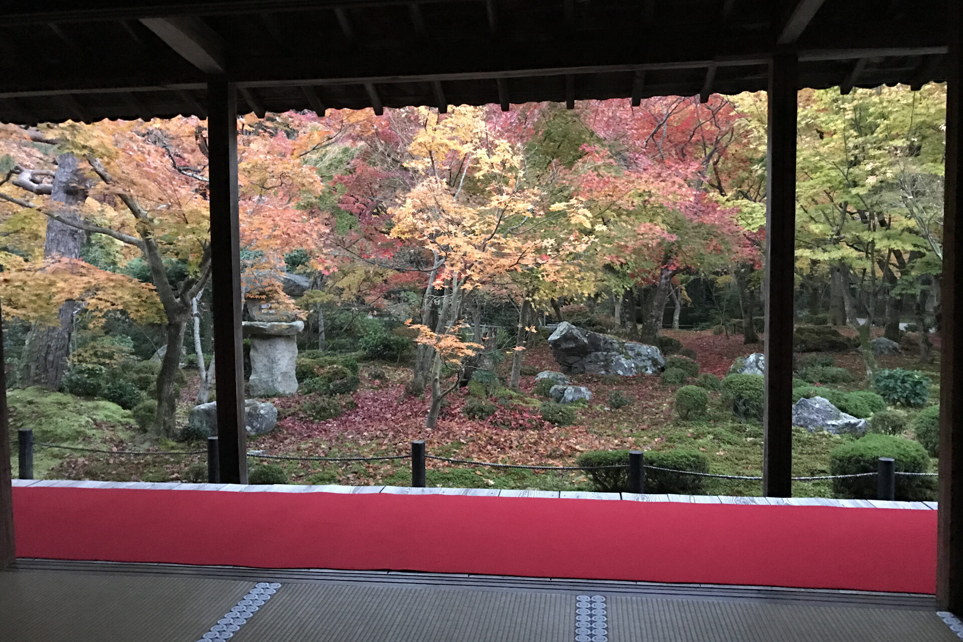 京都 圓光寺