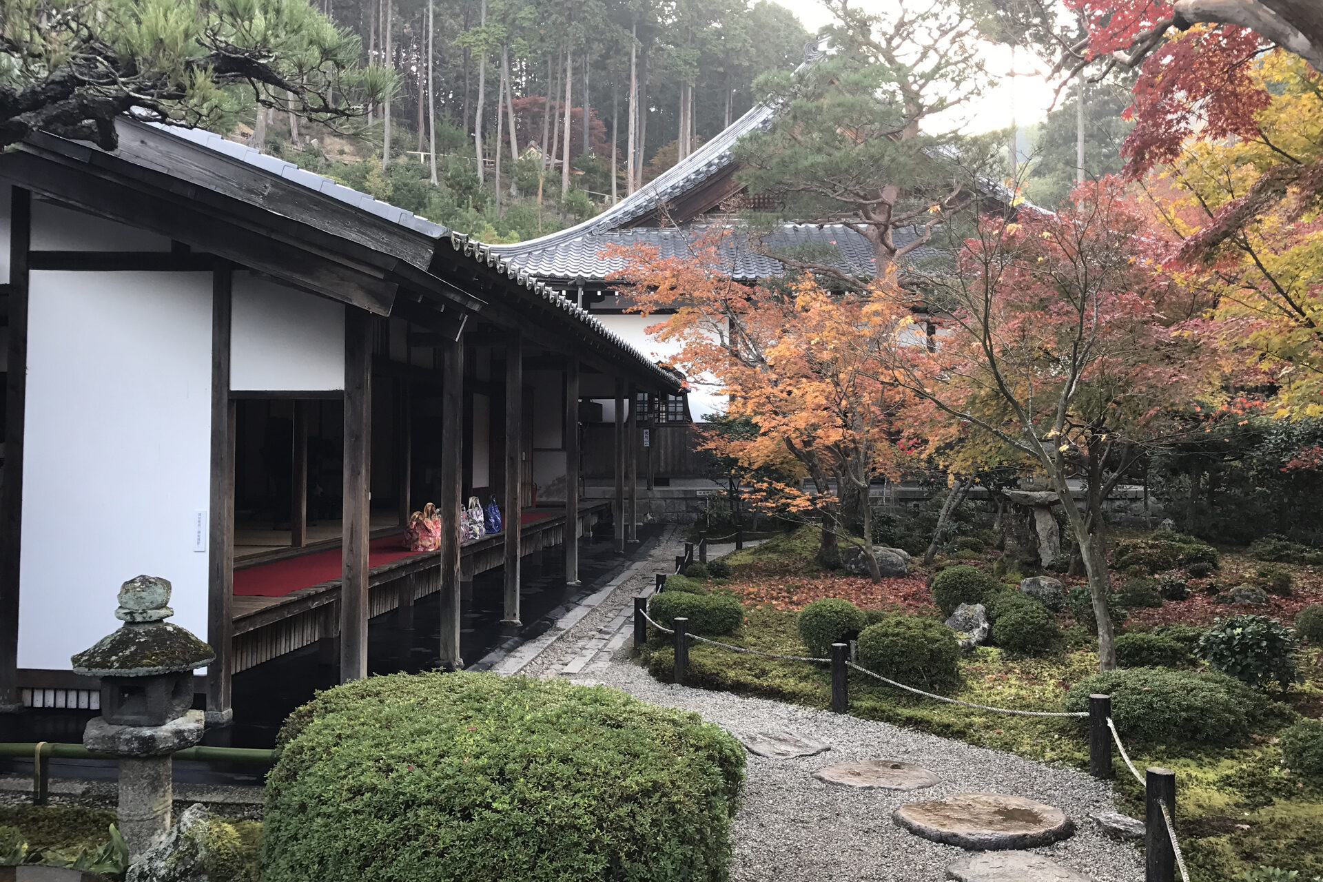 京都 圓光寺