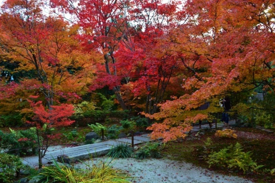 宝筐院の紅葉