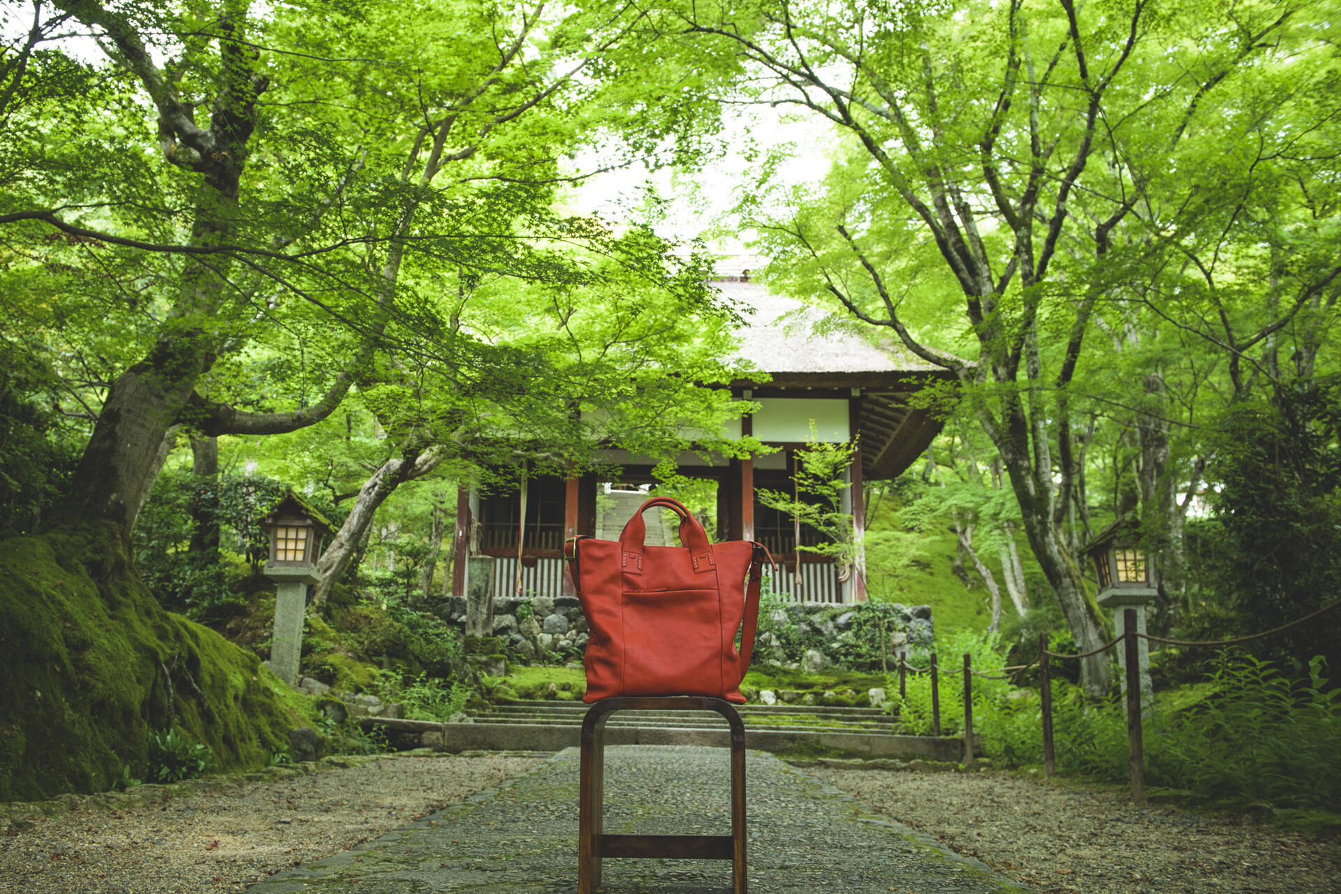 常寂光寺 青紅葉 京都