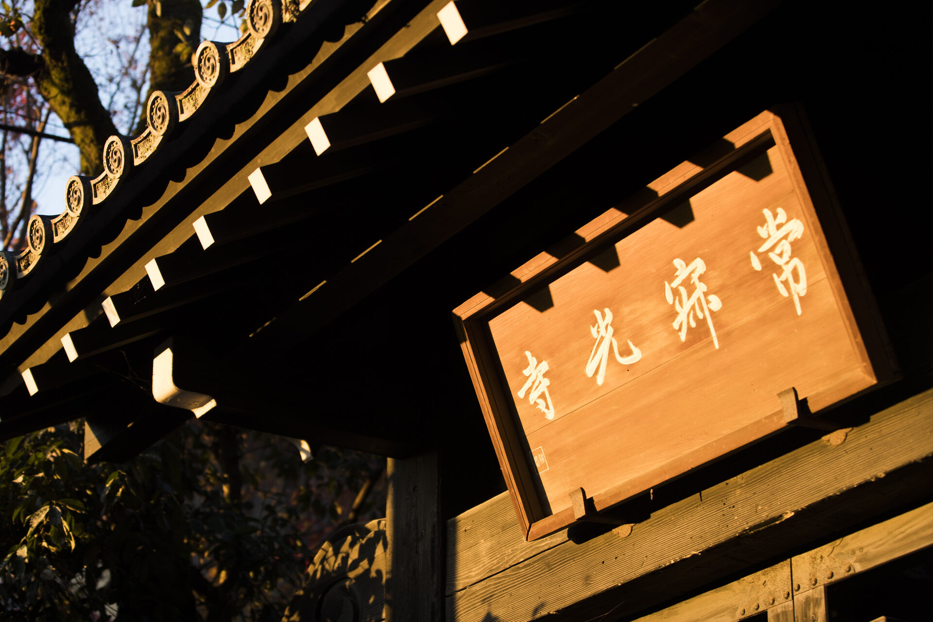 常寂光寺 紅葉 京都