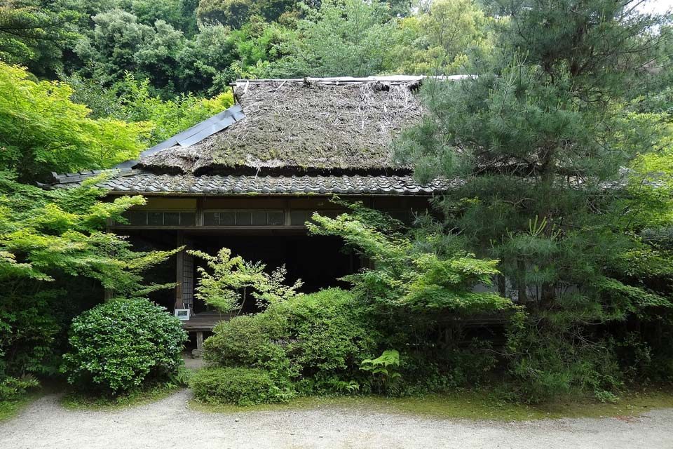 滝口寺