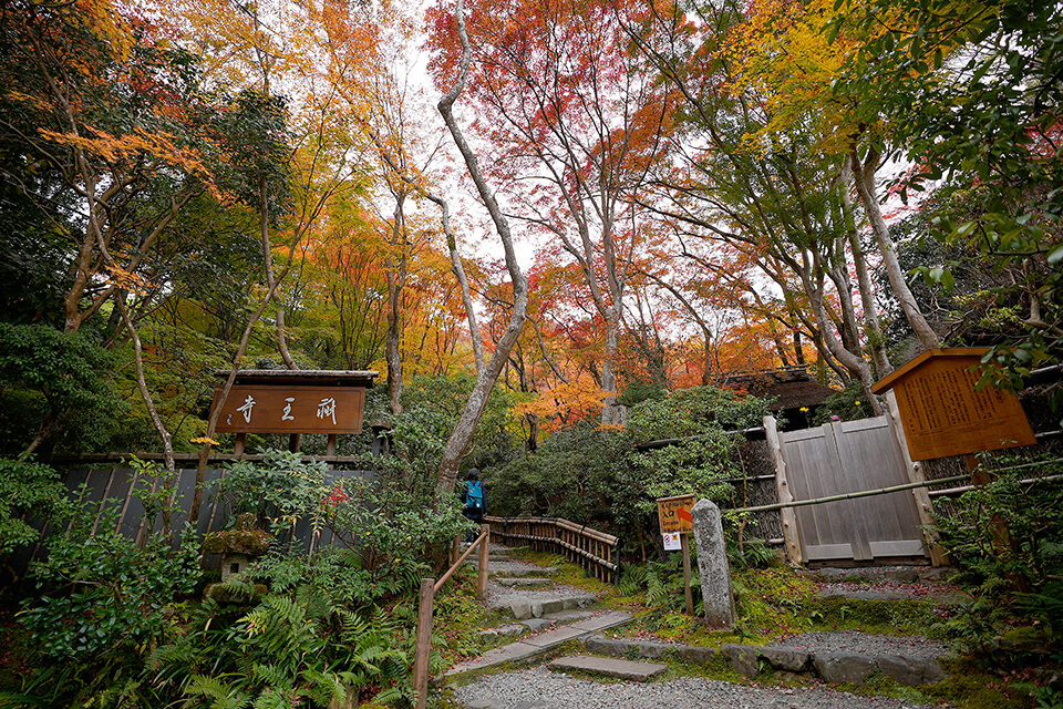 祇王寺 紅葉 京都