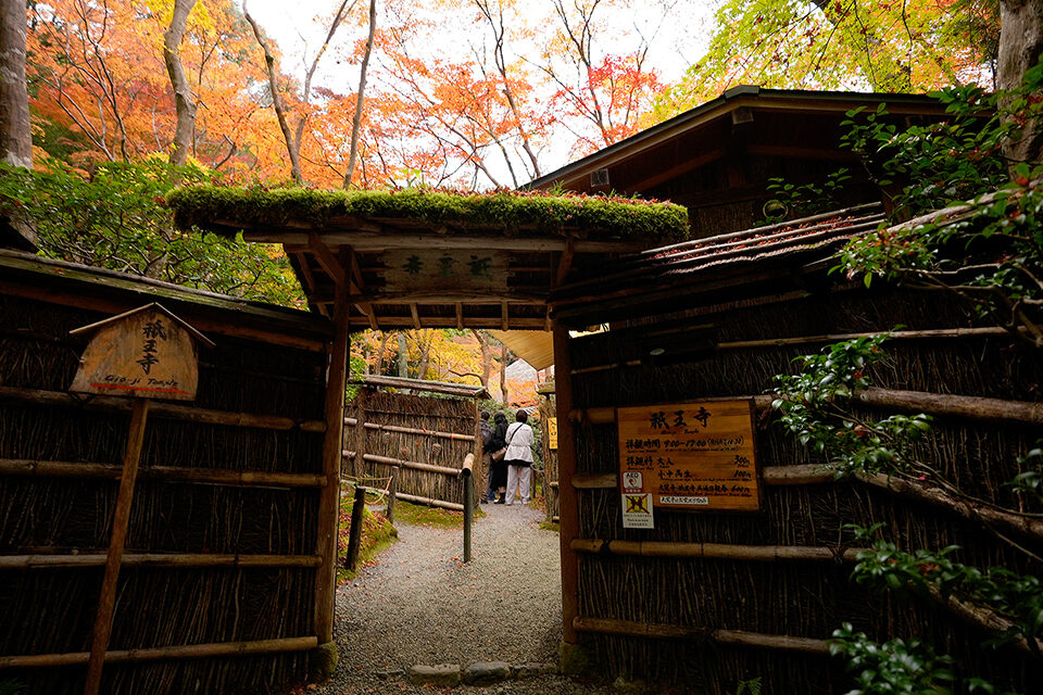 祇王寺 紅葉 京都