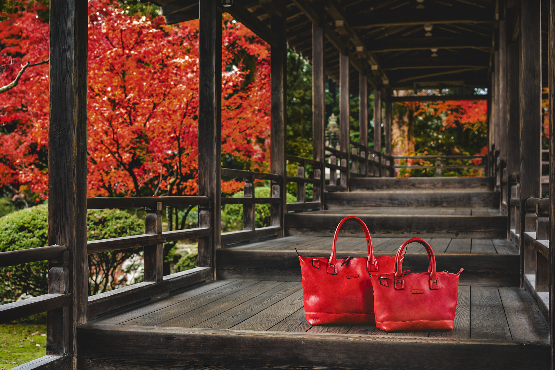 大覚寺 京都の紅葉