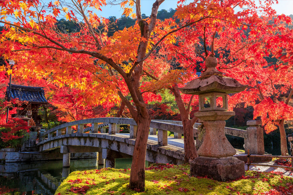 京都　永観堂紅葉