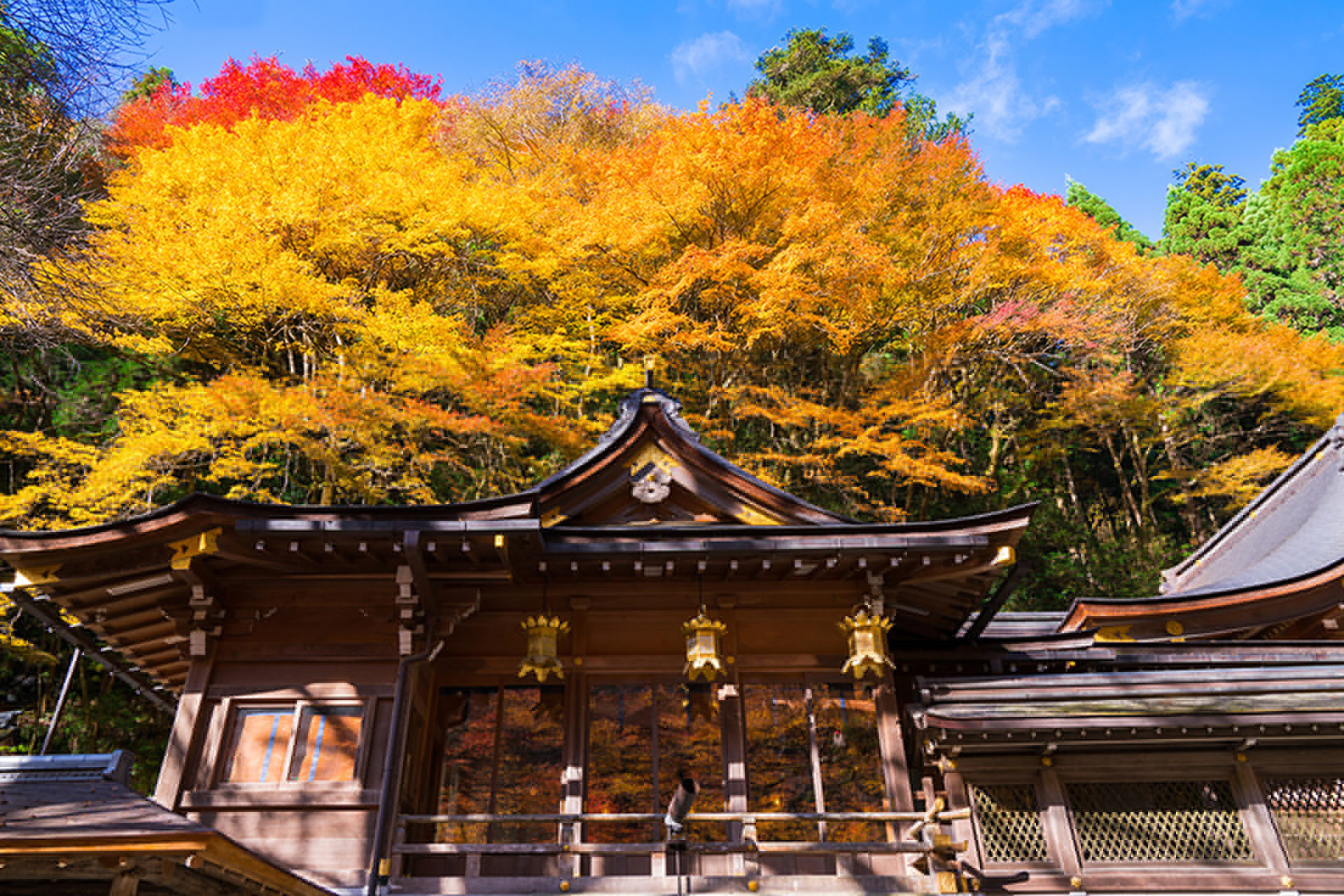 京都　鞍馬寺　紅葉
