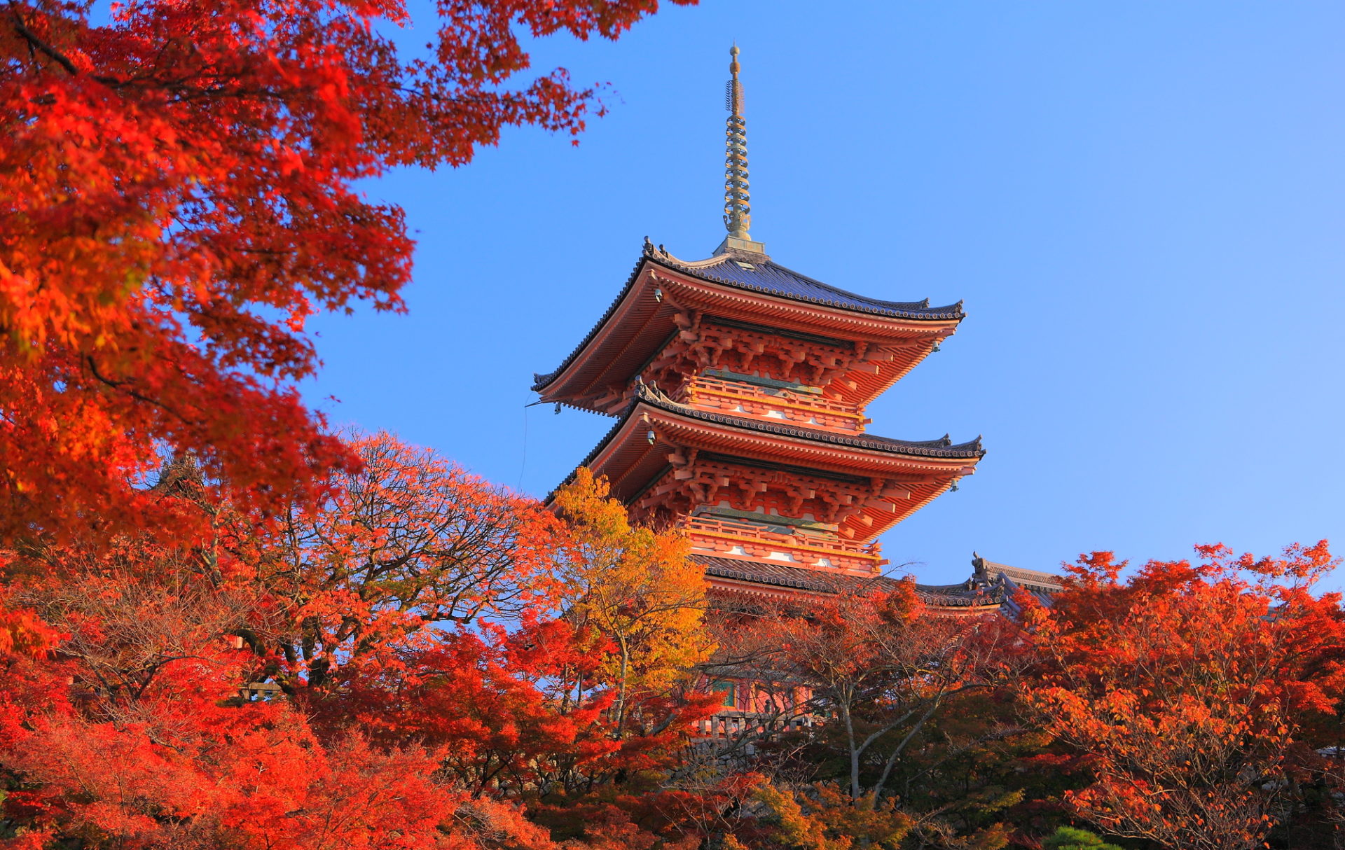 清水寺 紅葉