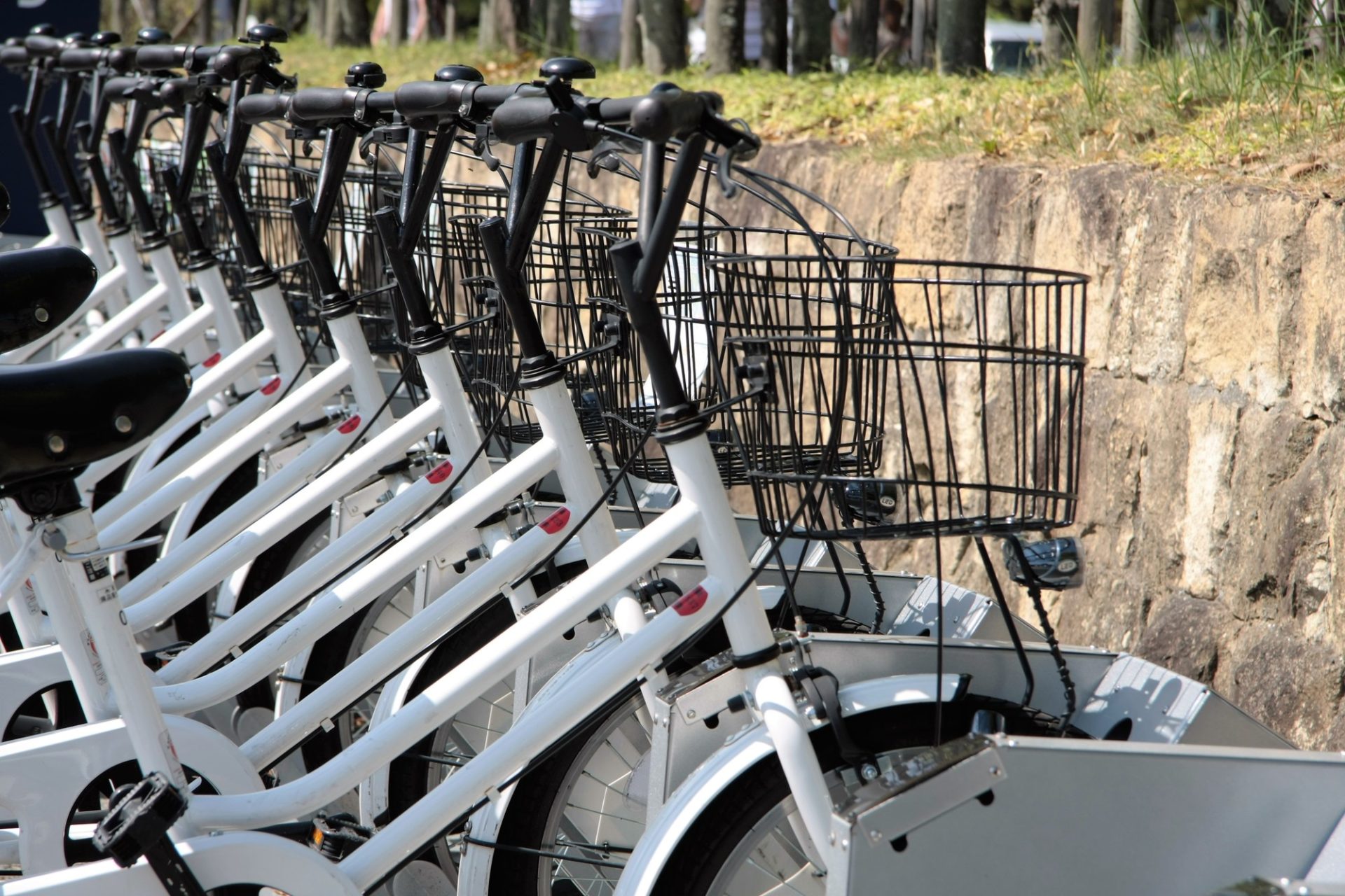 レンタサイクル