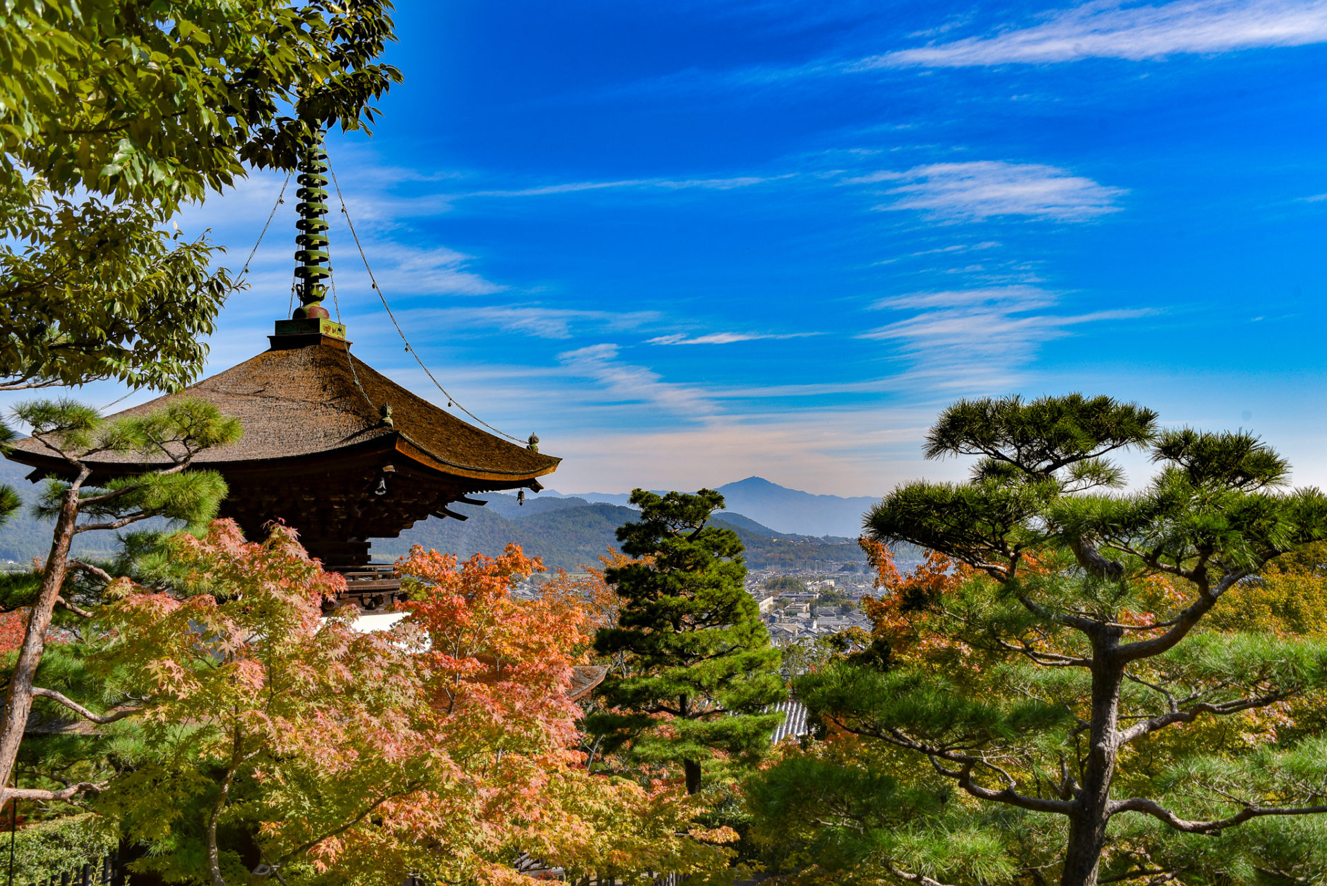 銀閣寺 紅葉