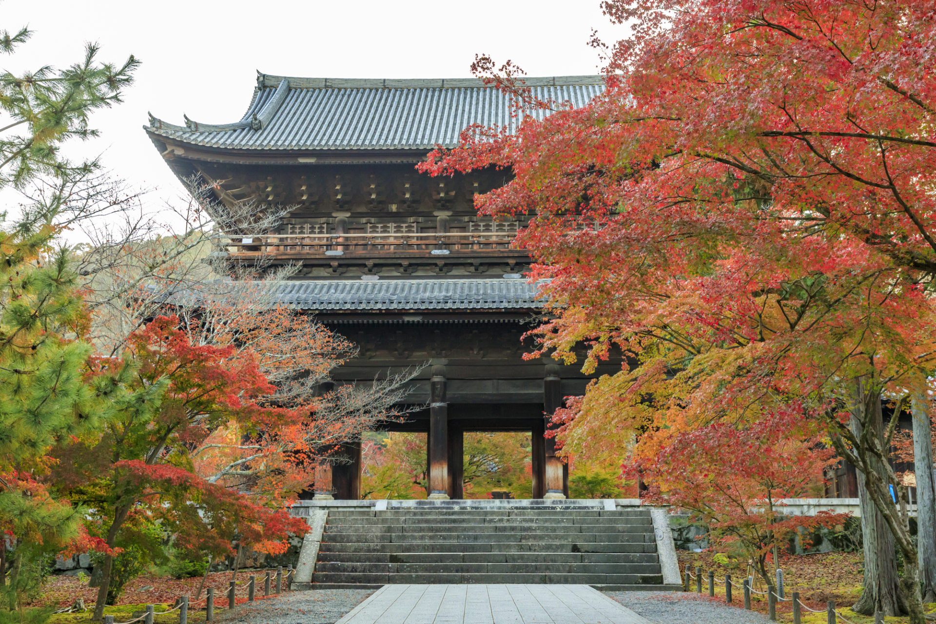 南禅寺 紅葉