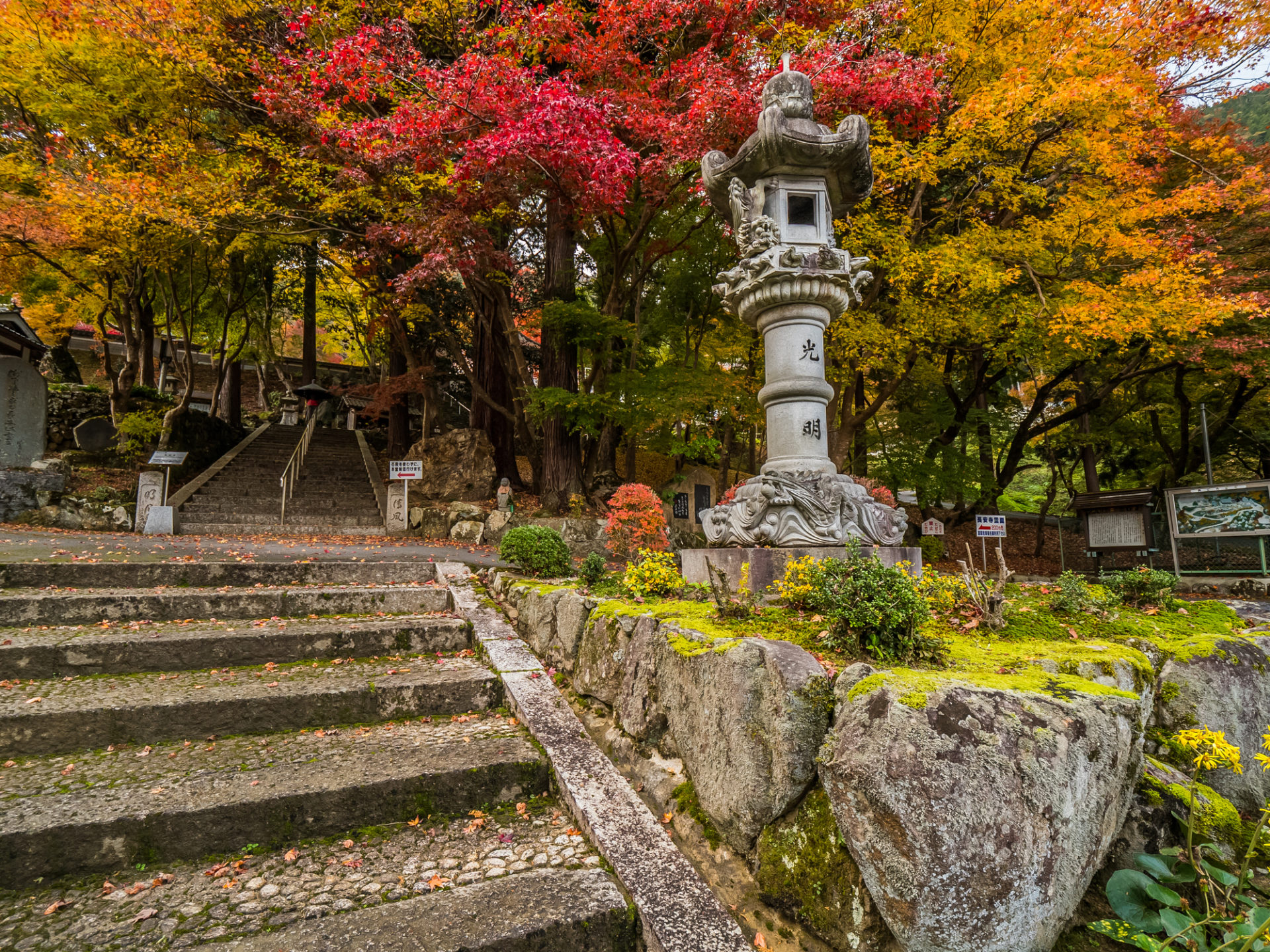 長安寺 紅葉
