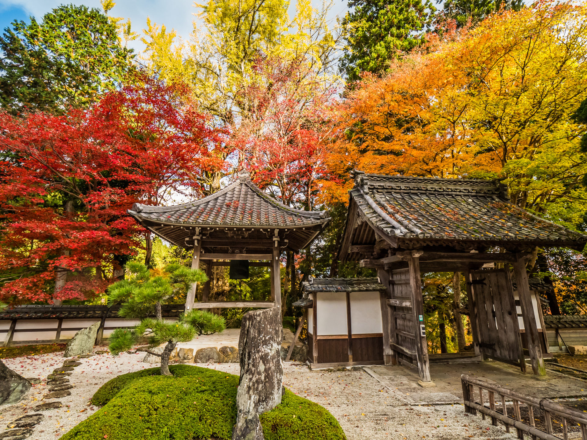 長安寺 紅葉