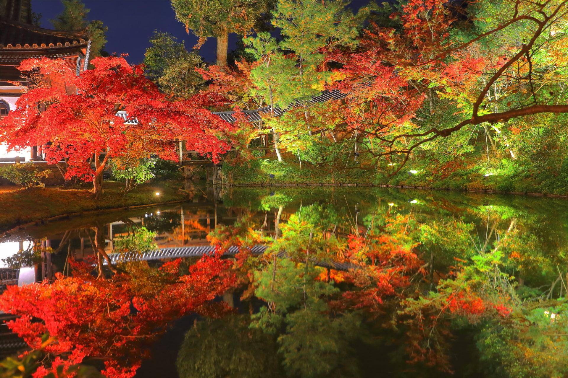 高台寺 紅葉