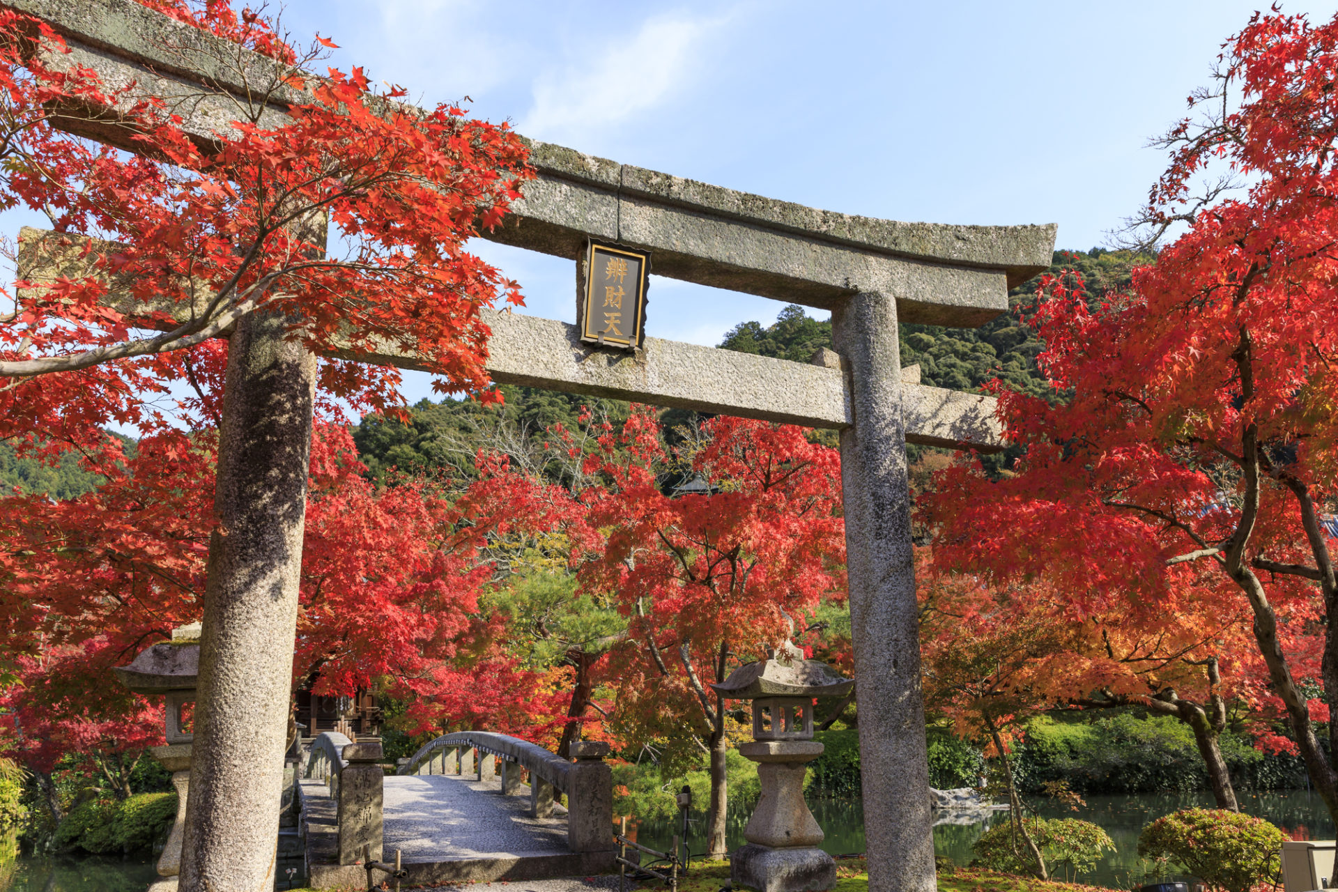 永観堂 紅葉