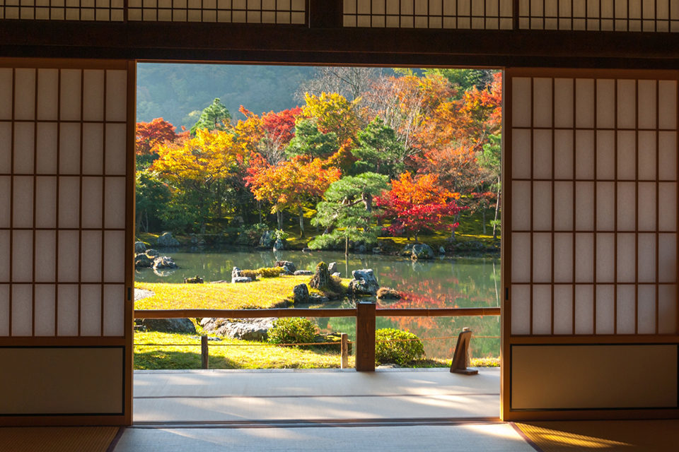 京都　紅葉　天龍寺
