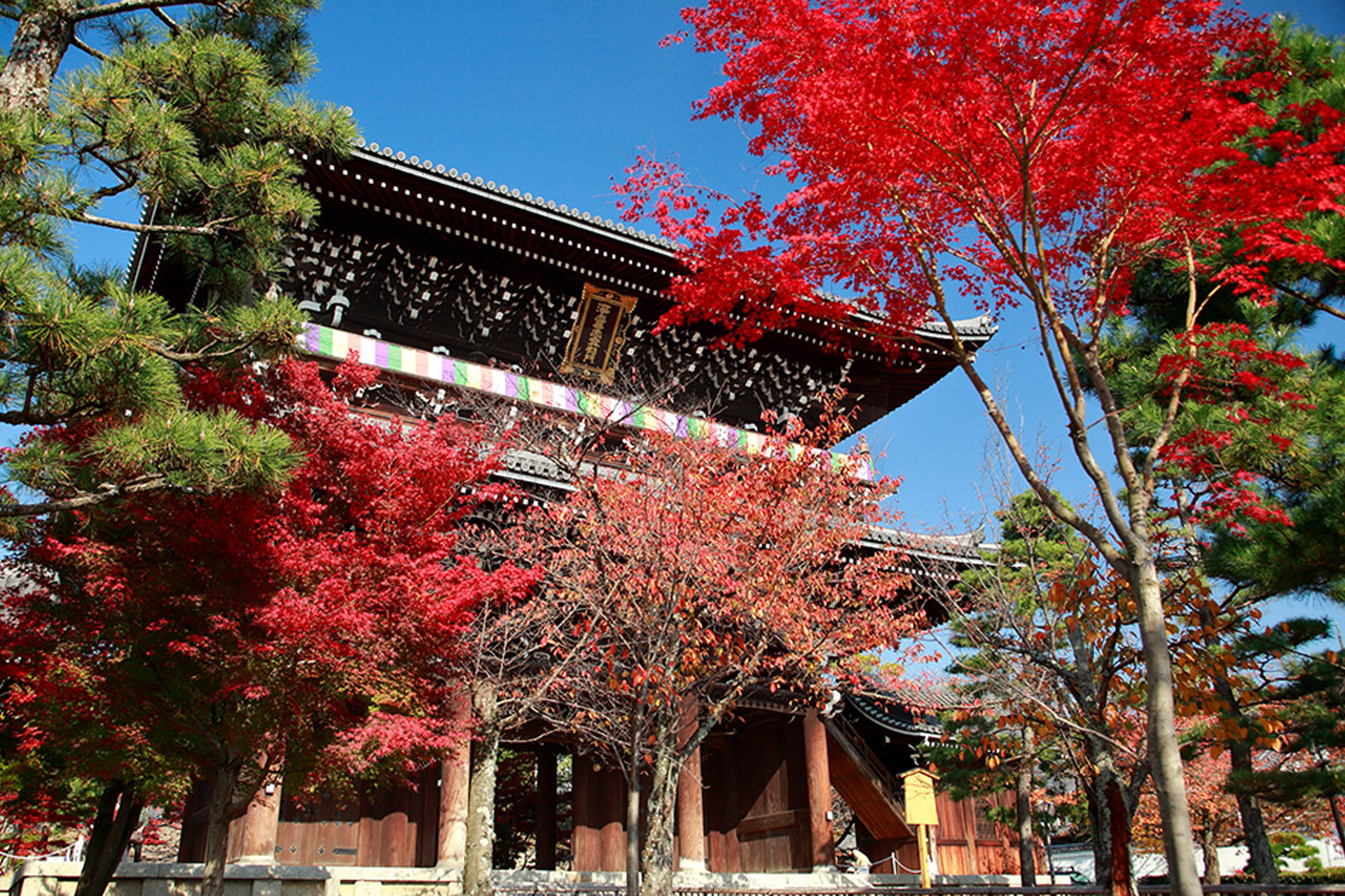 京都 金戒光明