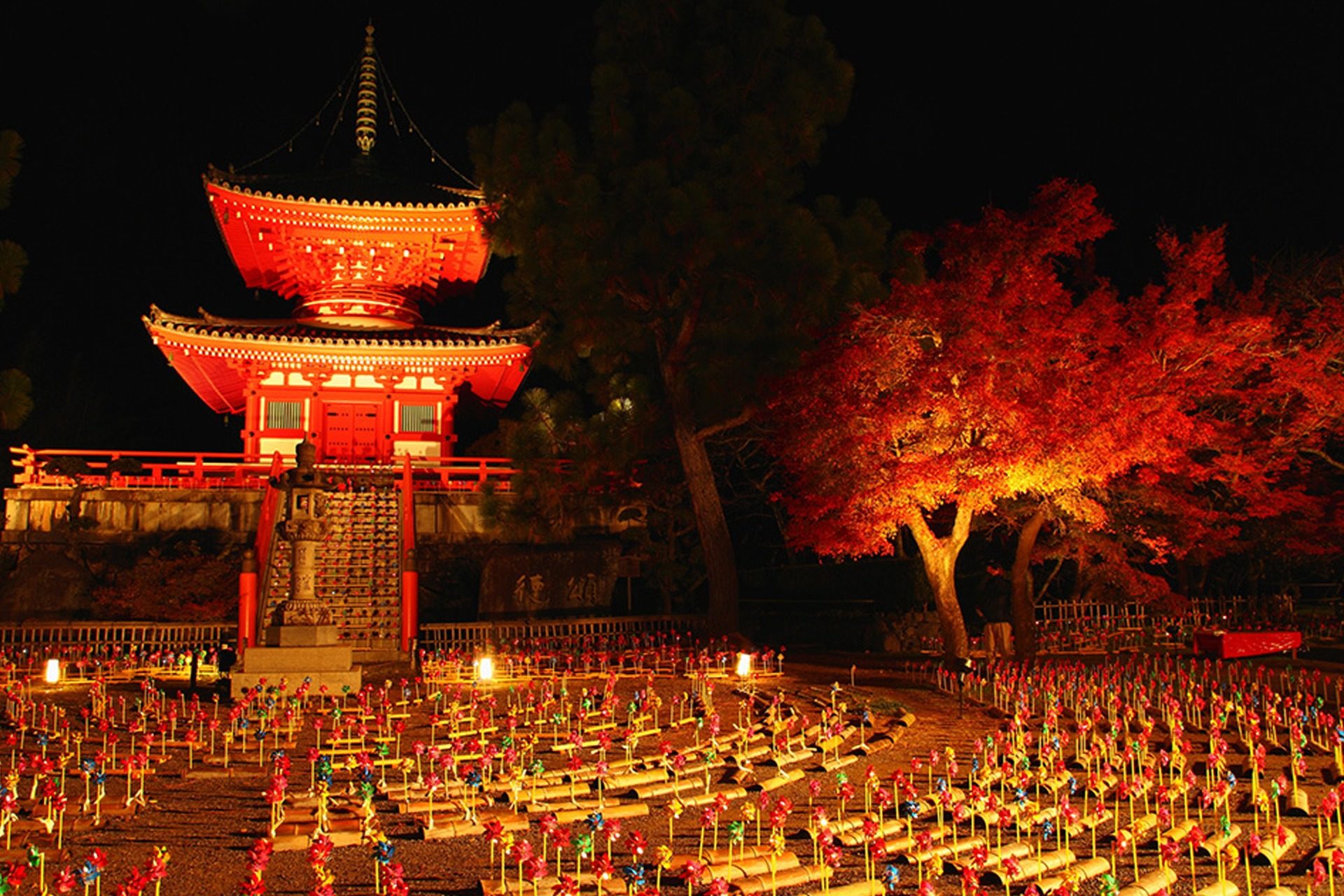 大覚寺　京都　紅葉