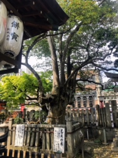 満足稲荷神社