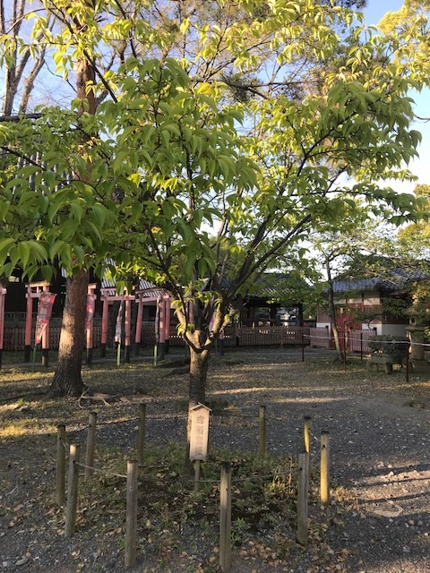 豊国神社