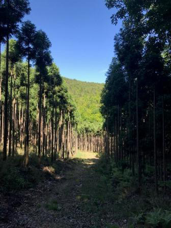 沢の池