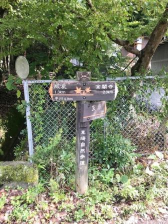 沢の池