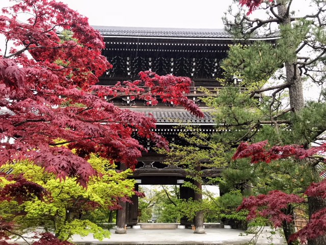 くろ谷 金戒光明寺
