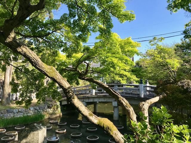 くろ谷 金戒光明寺