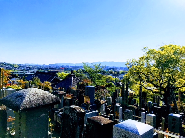 くろ谷 金戒光明寺