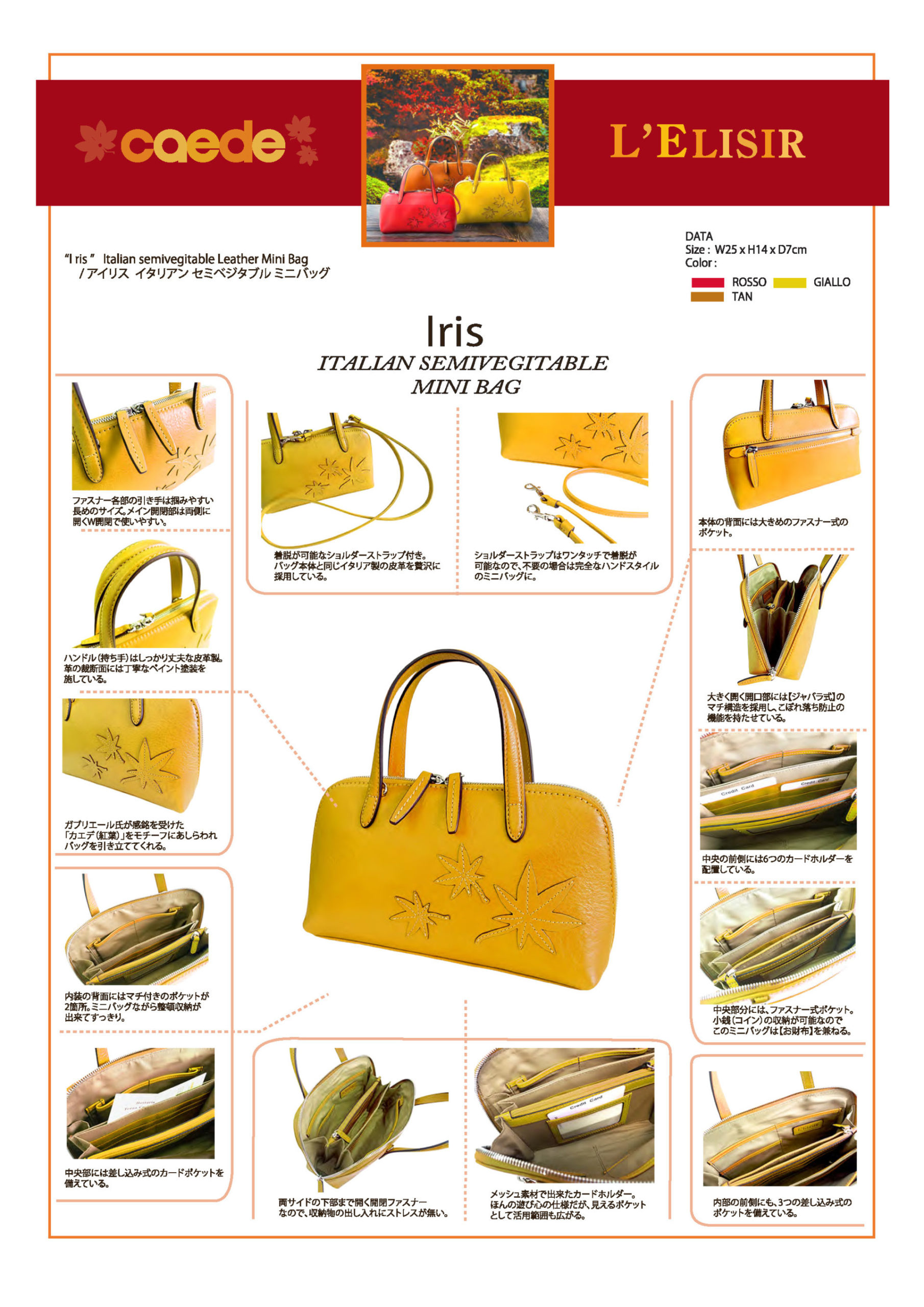 caede京都　collection Iris Giallo