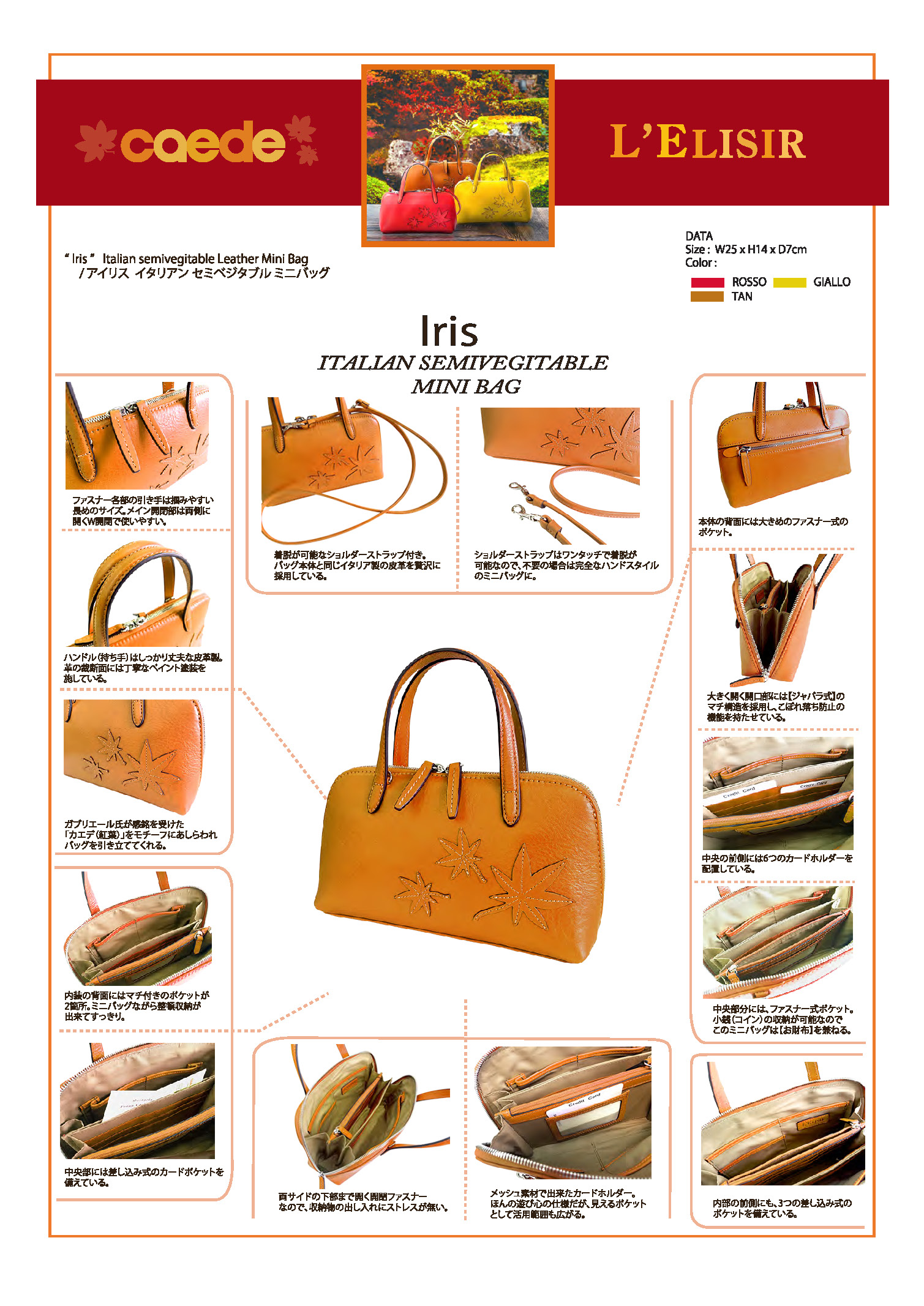 caede京都　collection Iris Tan