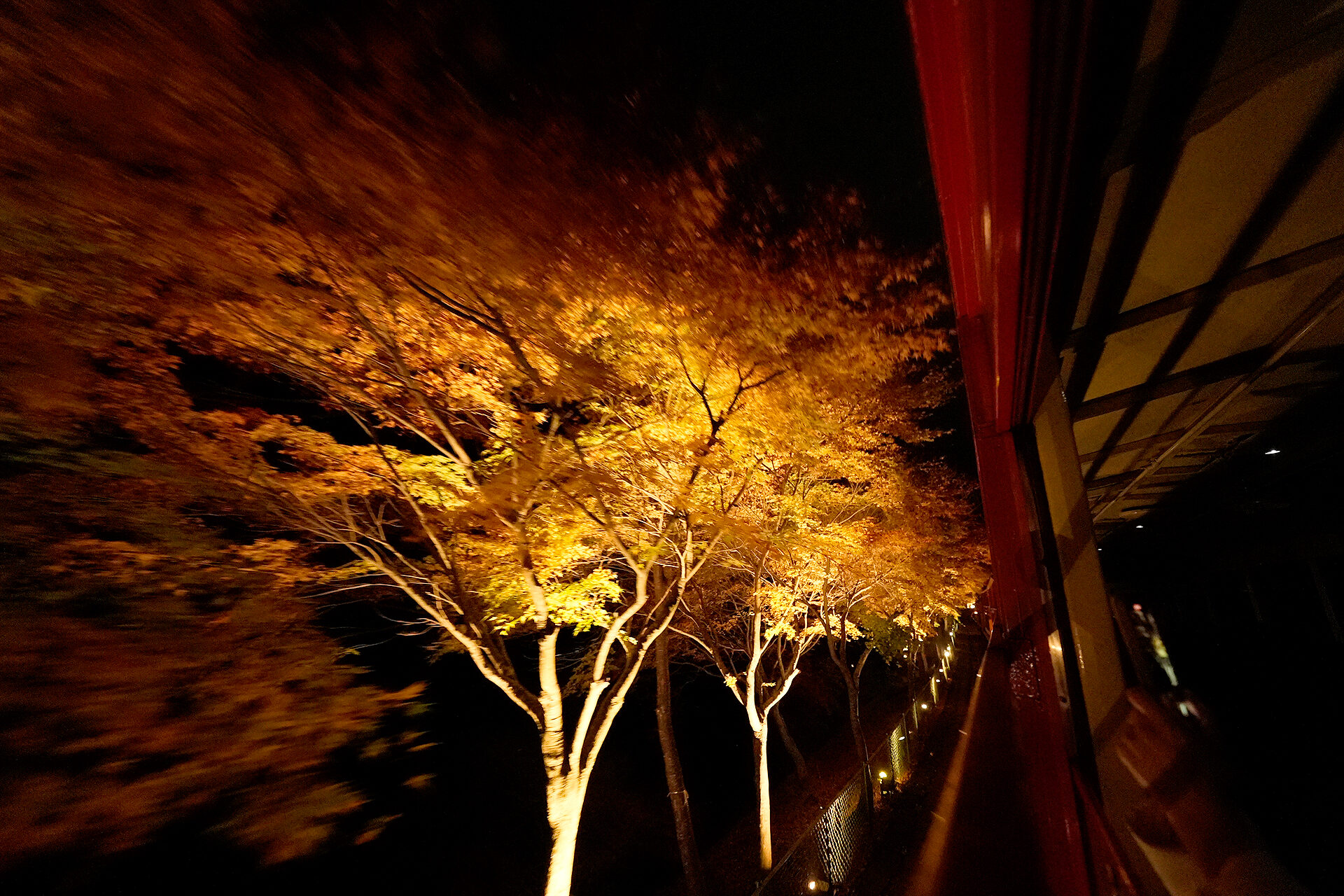 嵯峨野トロッコ列車 紅葉 京都