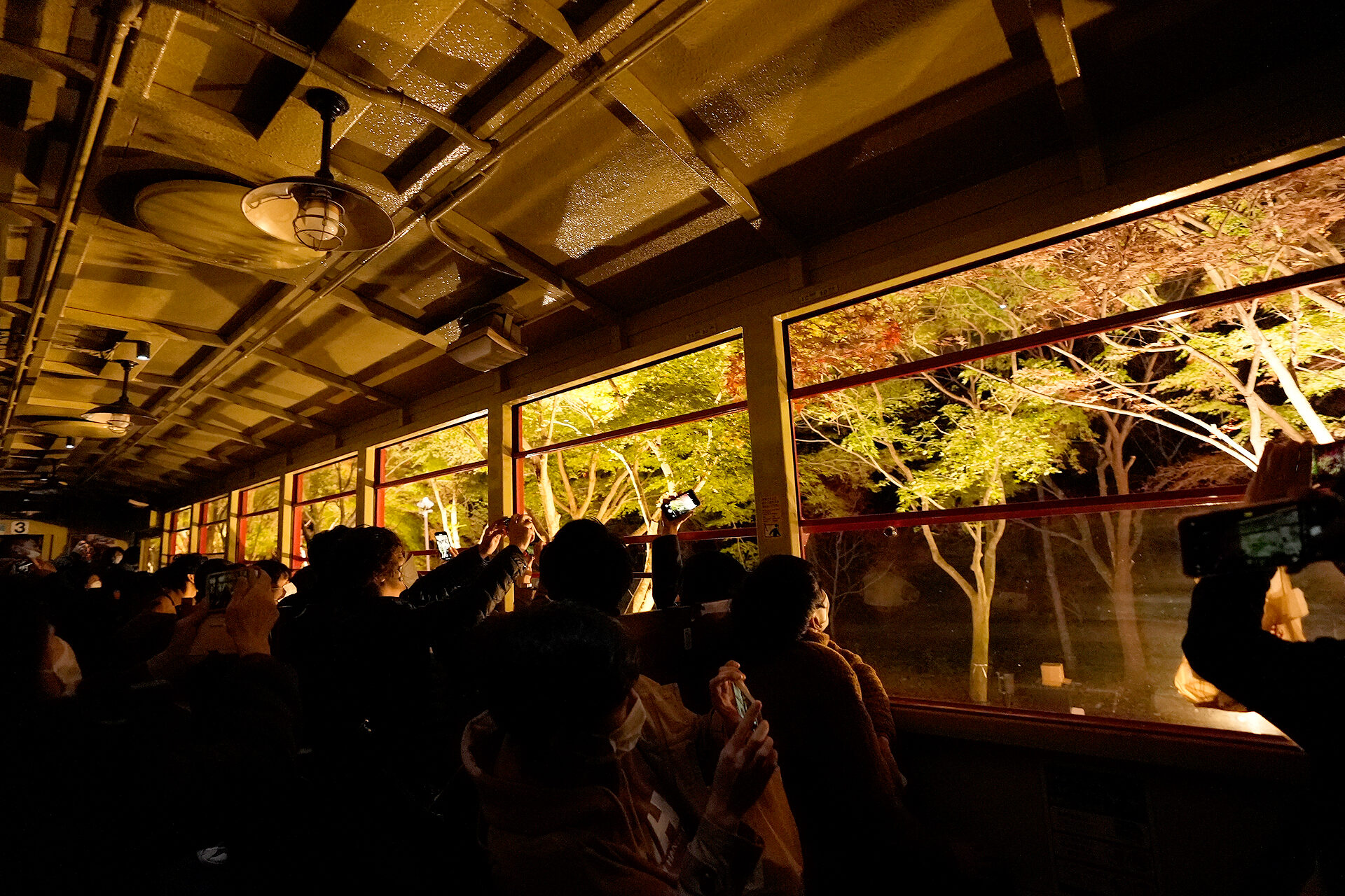 嵯峨野トロッコ列車 紅葉 京都