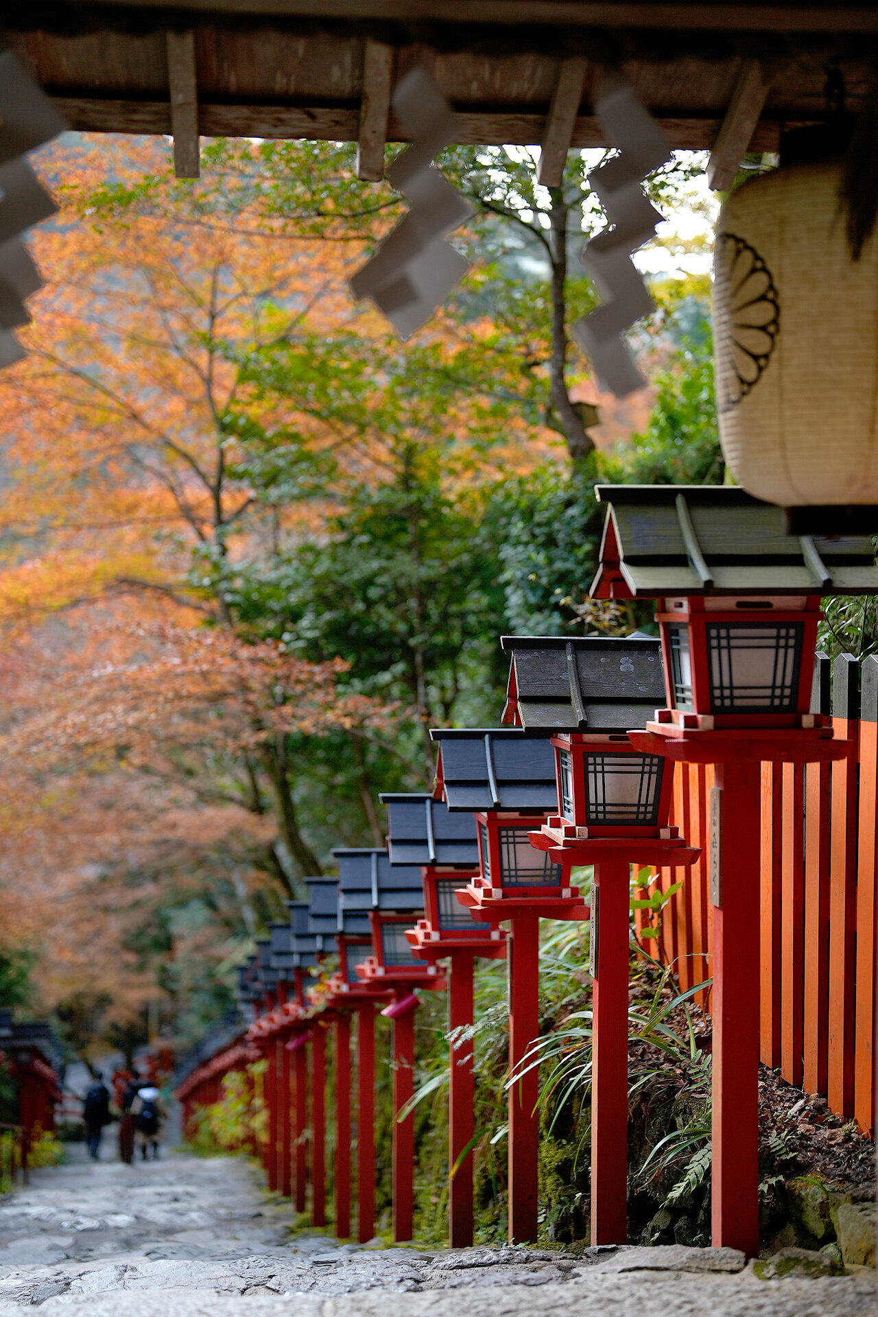 貴船神社 紅葉 京都