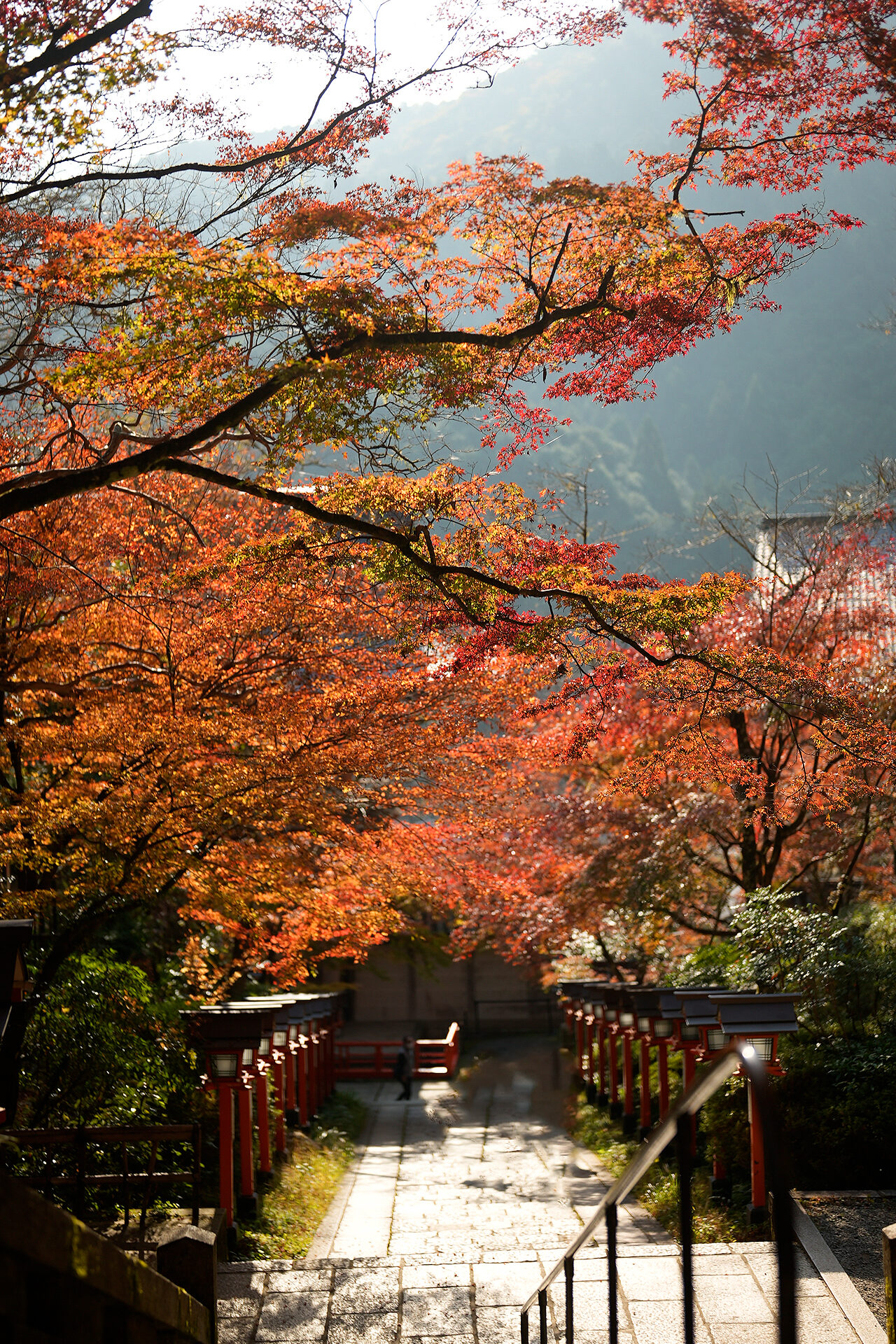 鞍馬寺 紅葉 京都