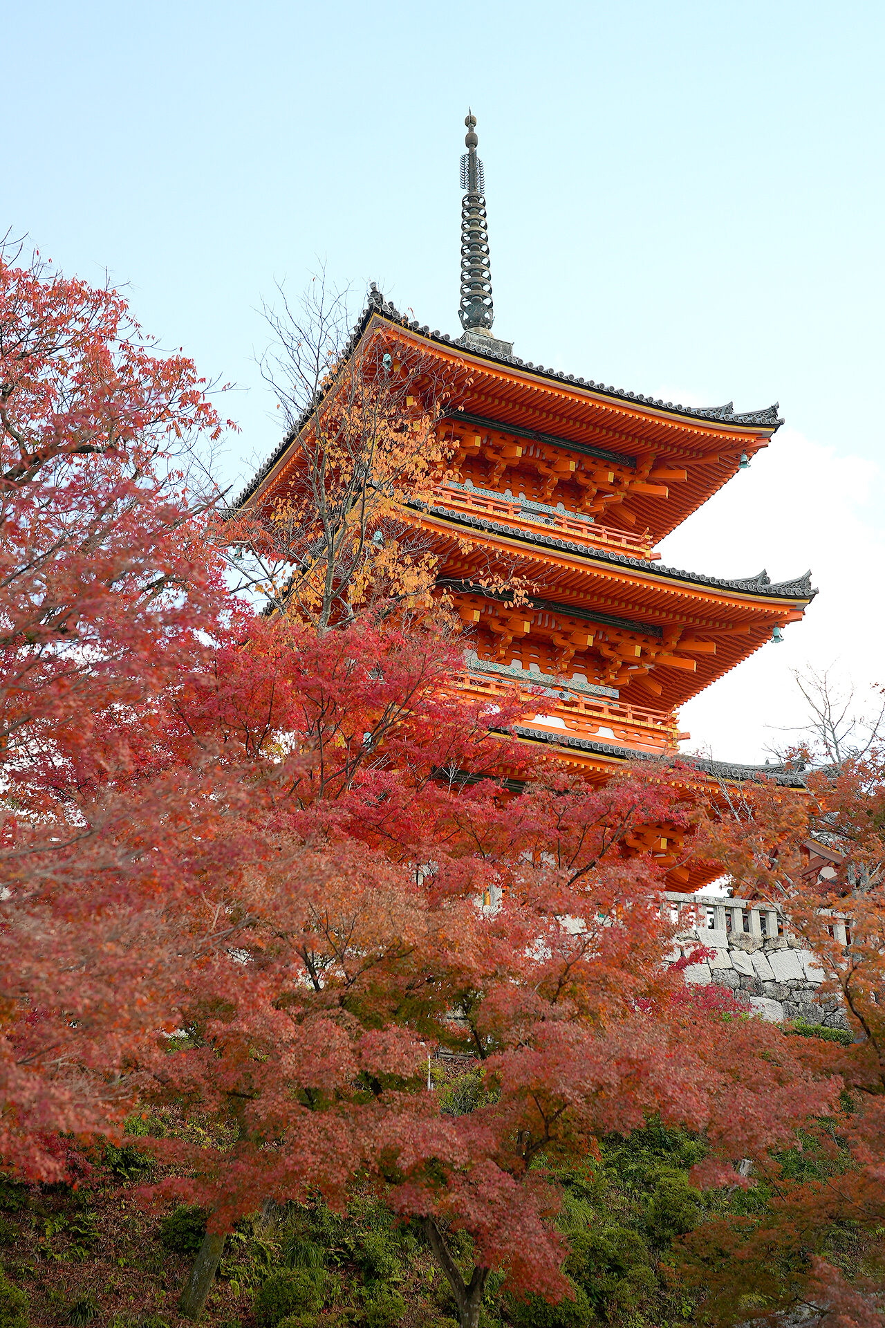 清水寺 紅葉 京都