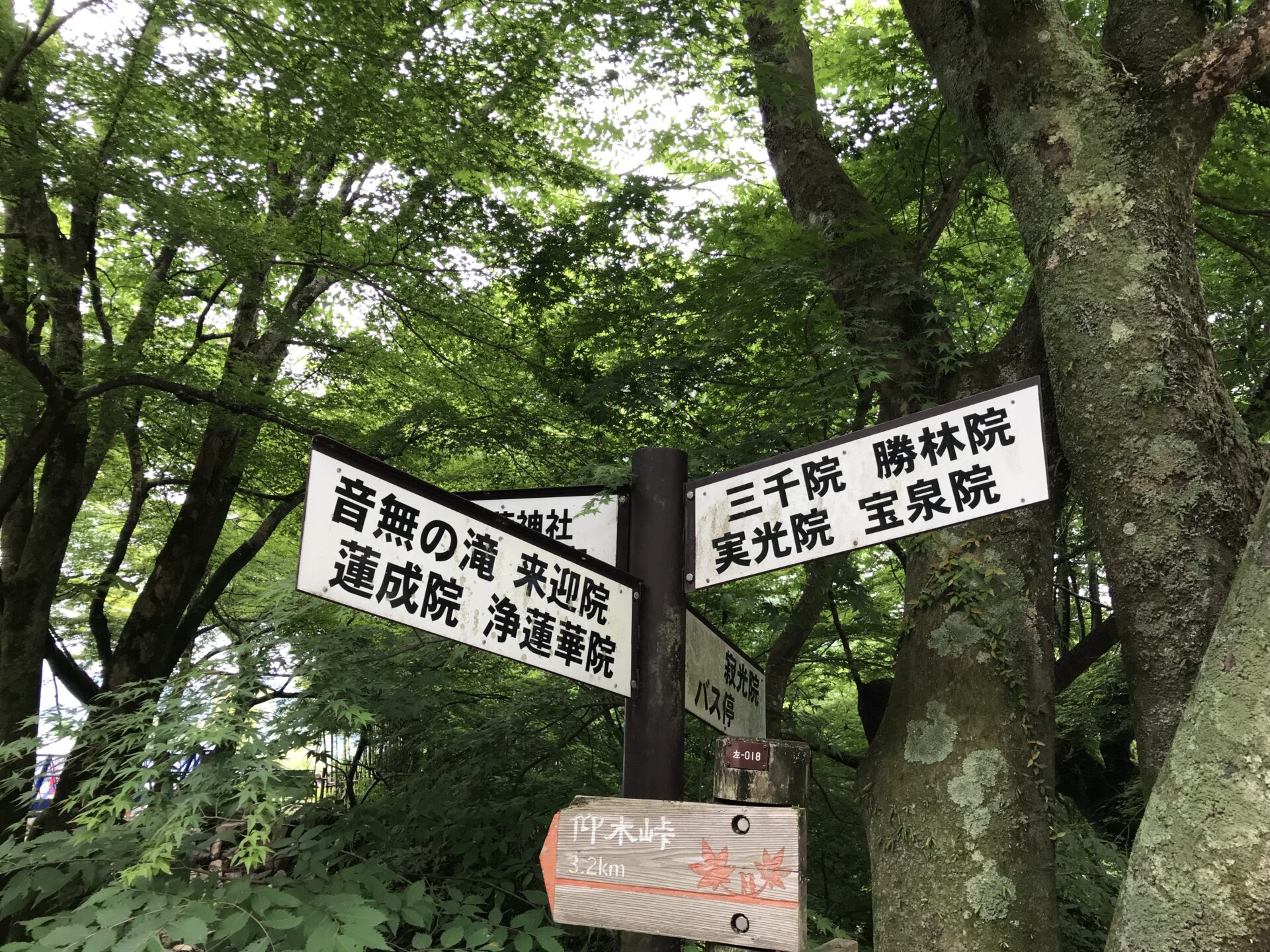宝泉院 京都