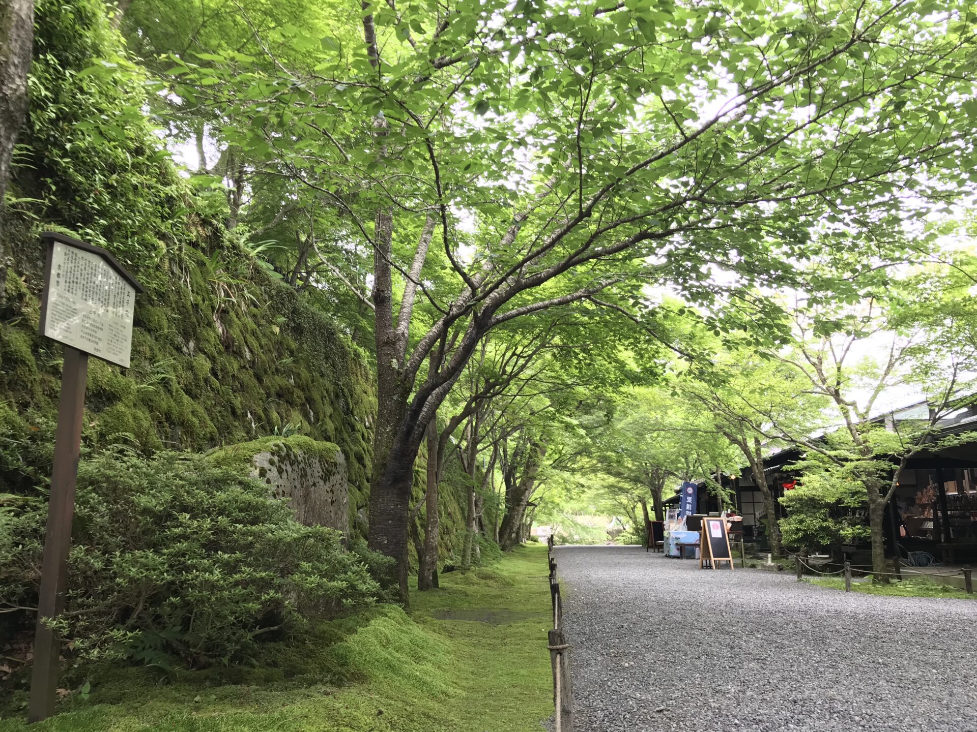 三千院の紅葉参道 紅葉