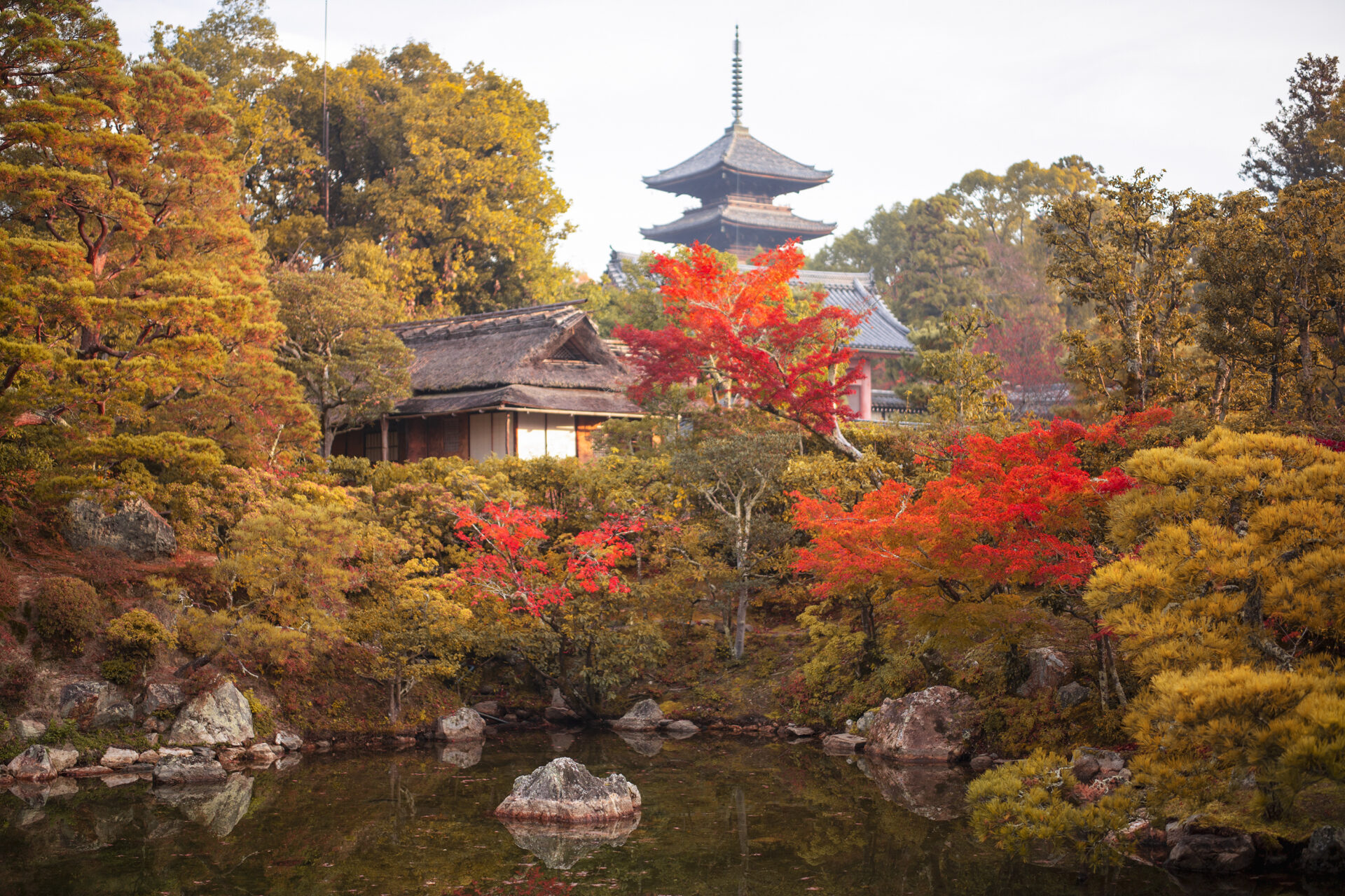 仁和寺 紅葉　京都