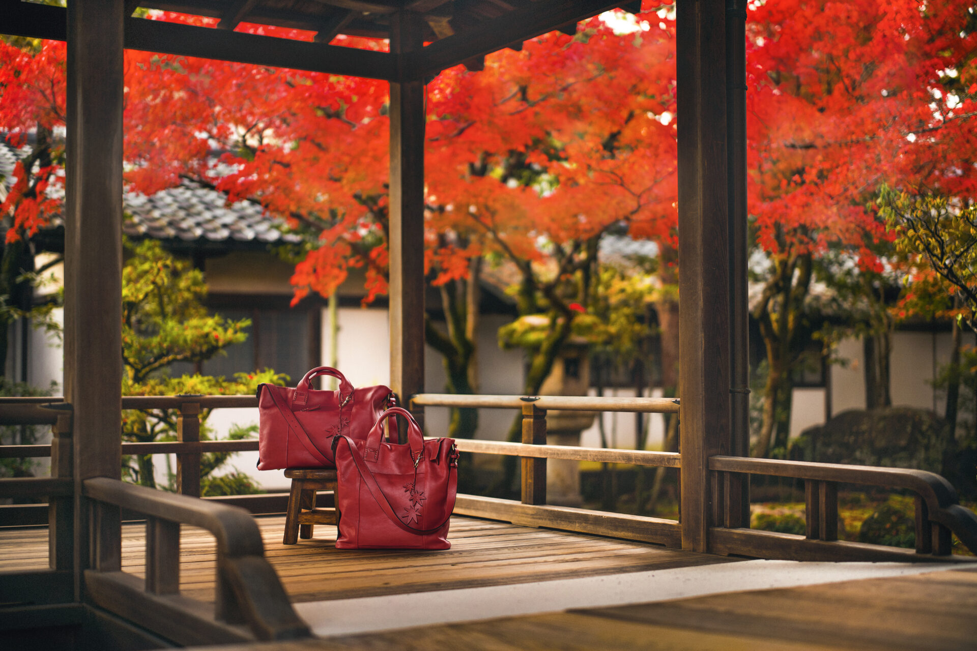 仁和寺 紅葉 京都